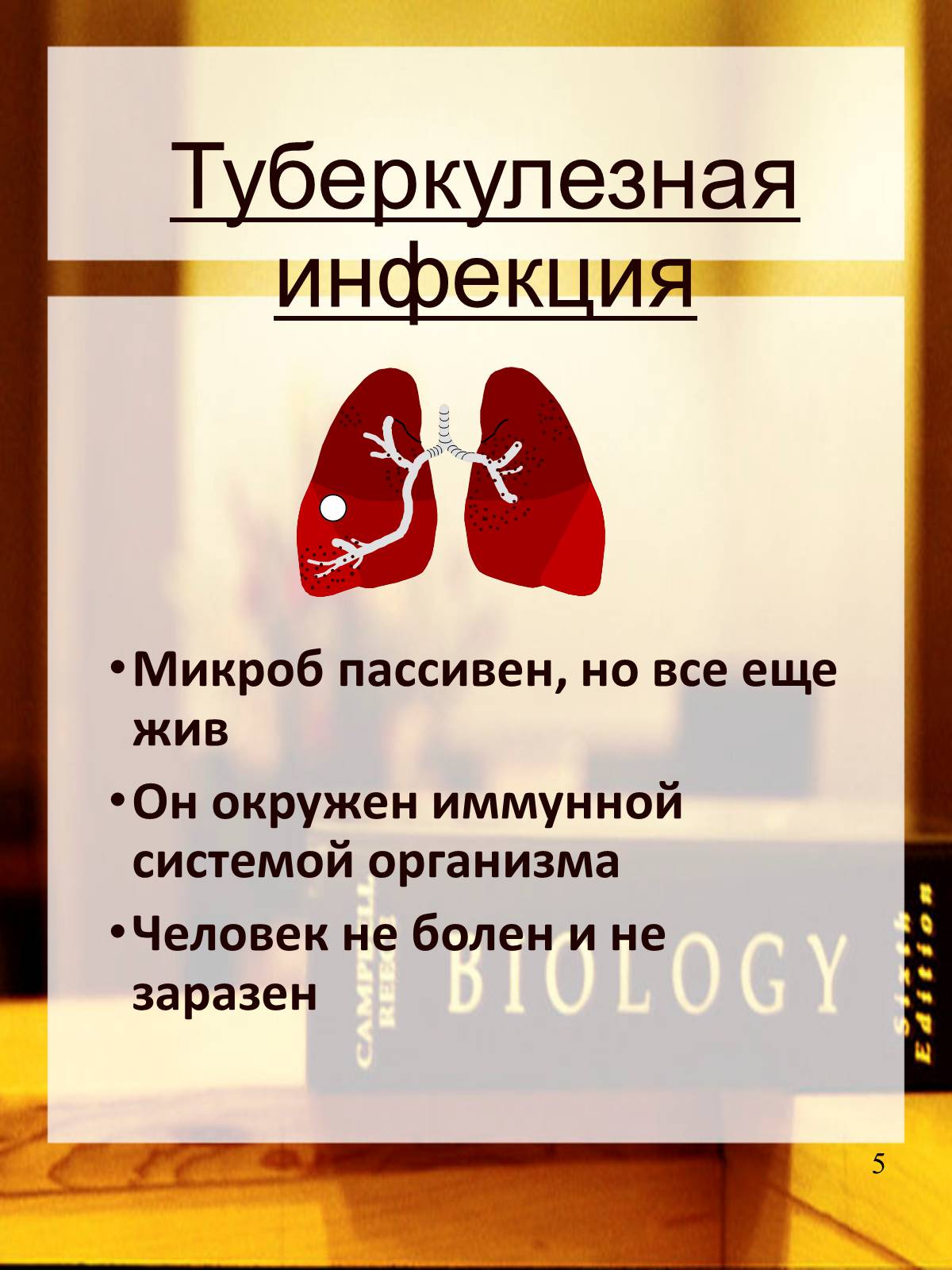 Презентація на тему «Туберкулез» (варіант 2) - Слайд #6