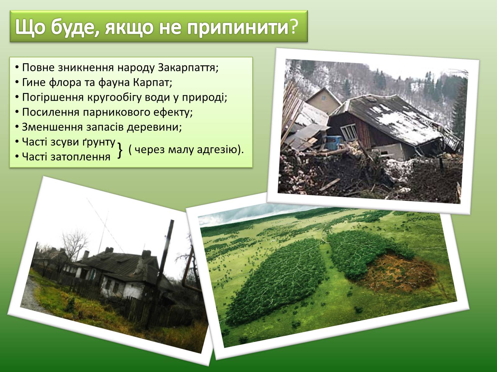 Презентація на тему «Проблеми вирубку лісу» - Слайд #10