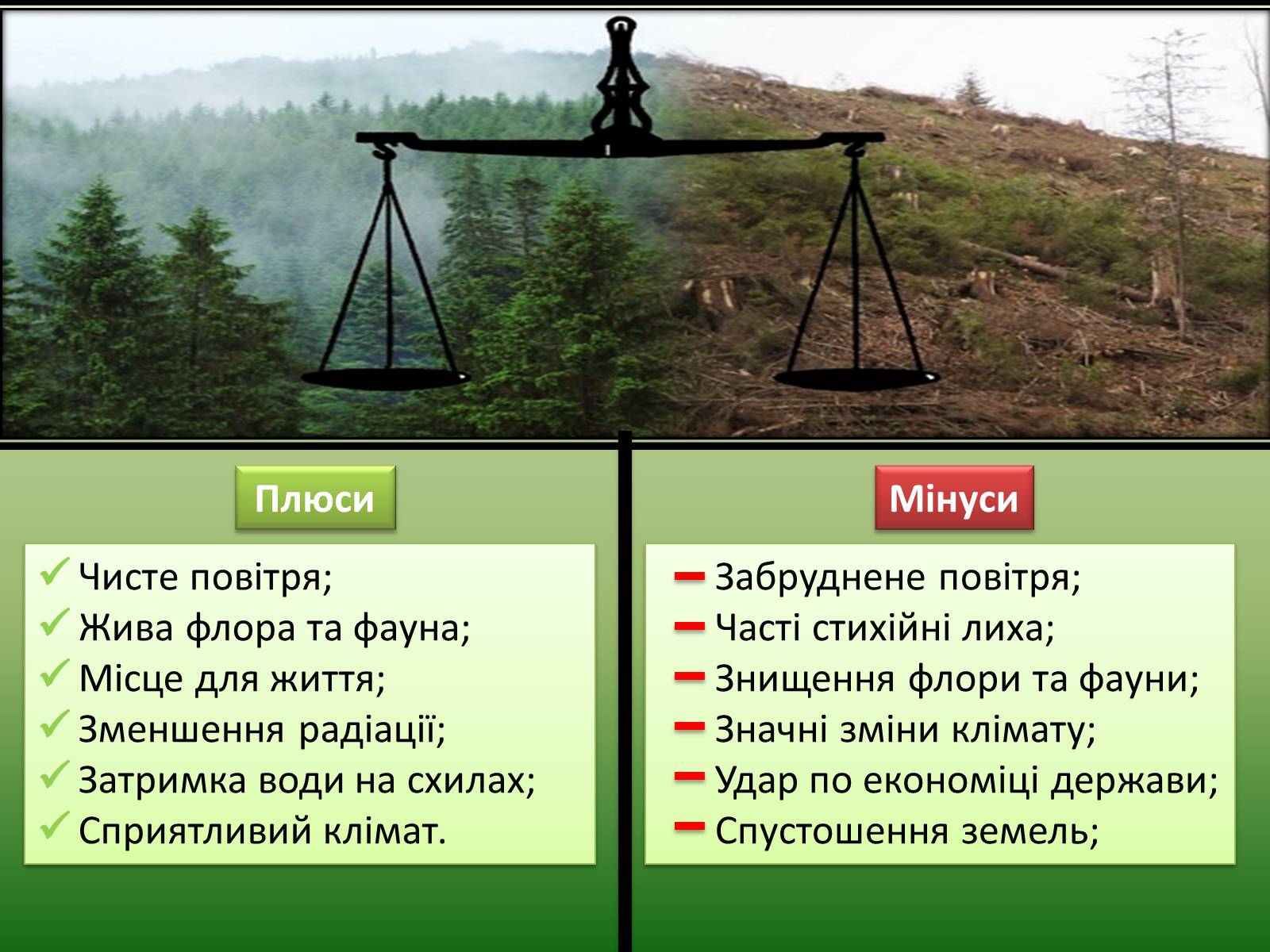 Презентація на тему «Проблеми вирубку лісу» - Слайд #11