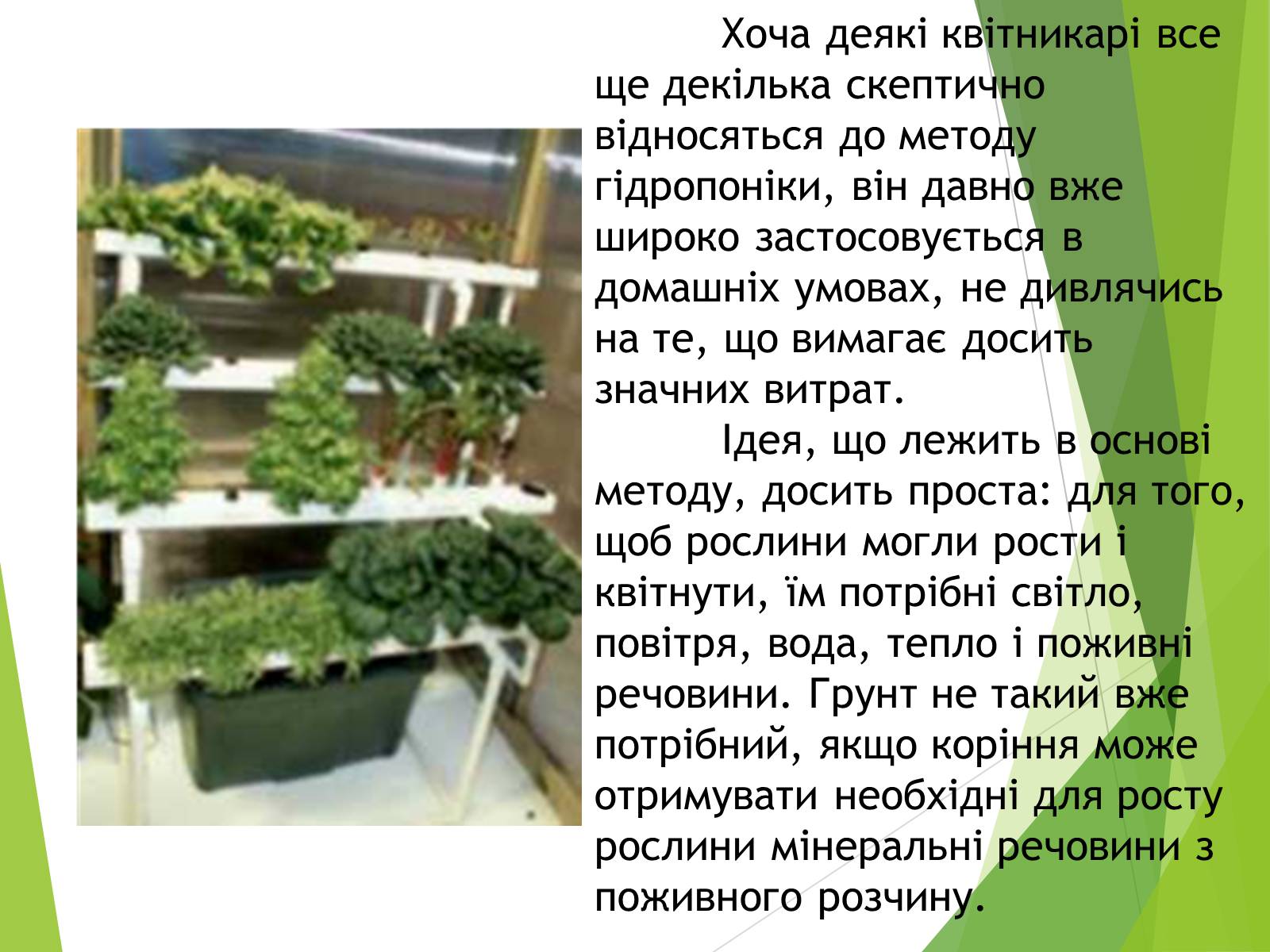 Презентація на тему «Вирощування культурних рослин методом гідропоніки» - Слайд #3