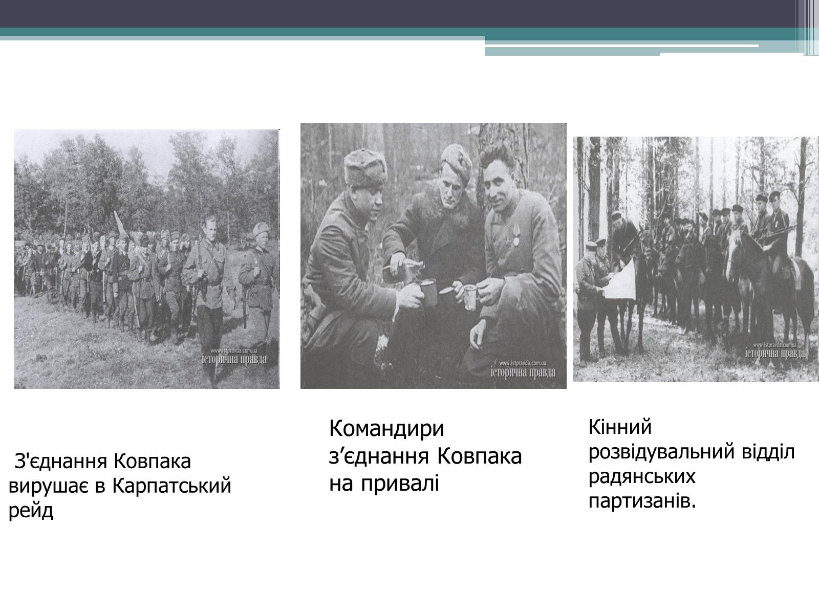 Презентація на тему «Рух опору в Україні» (варіант 2) - Слайд #8