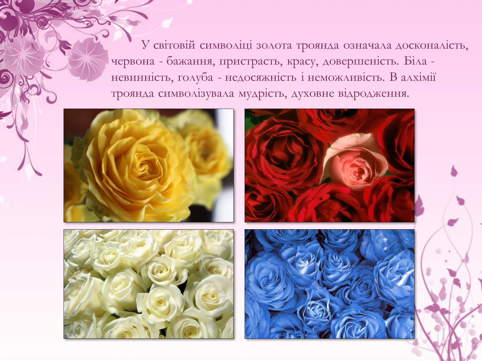 Презентація на тему «Образ троянди в усній народній творчості» - Слайд #4