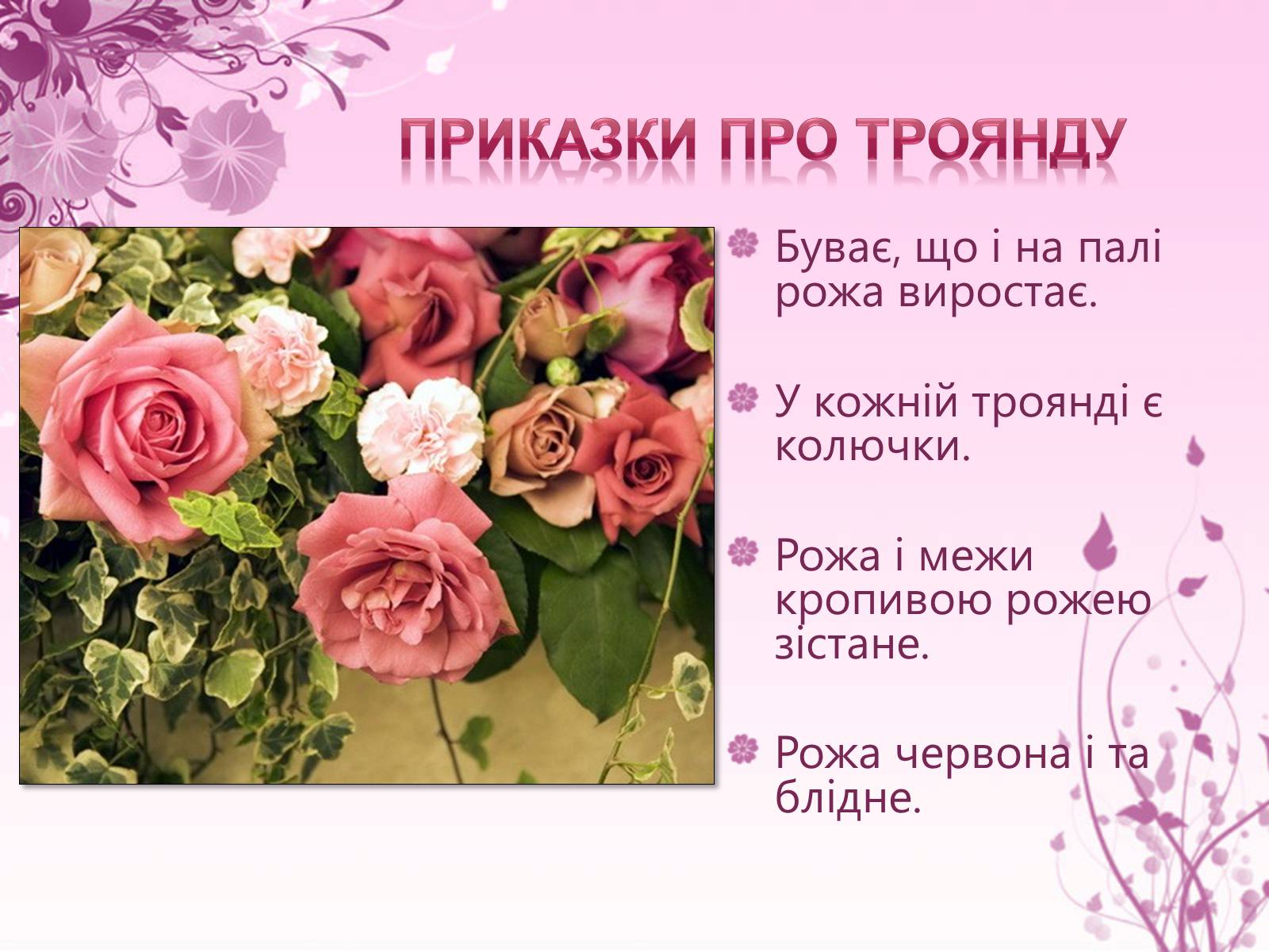 Презентація на тему «Образ троянди в усній народній творчості» - Слайд #9
