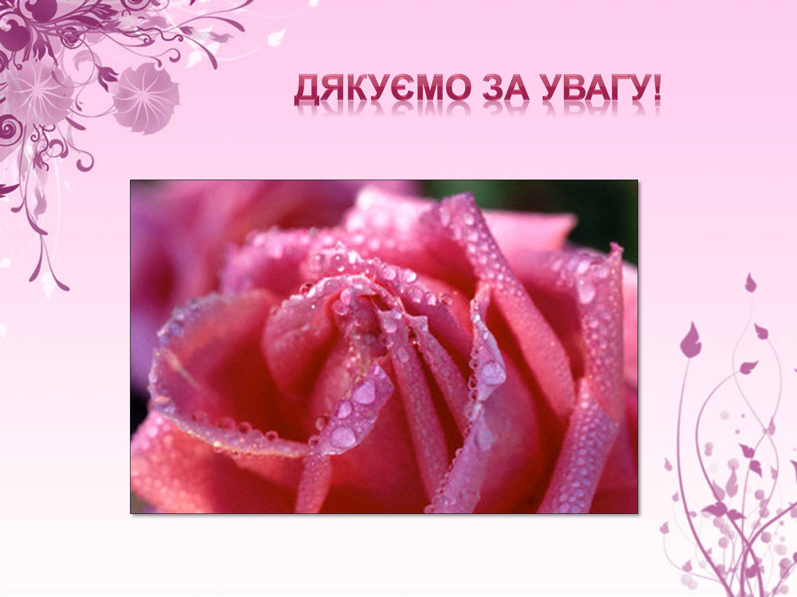 Презентація на тему «Образ троянди в усній народній творчості» - Слайд #10