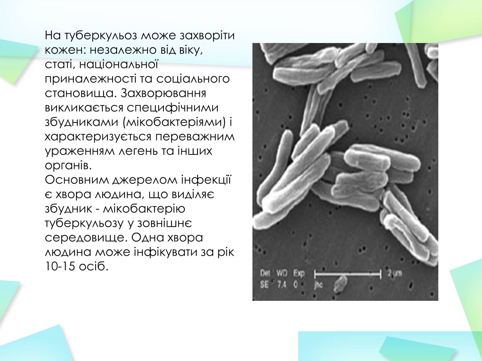 Презентація на тему «Туберкулез» (варіант 3) - Слайд #3