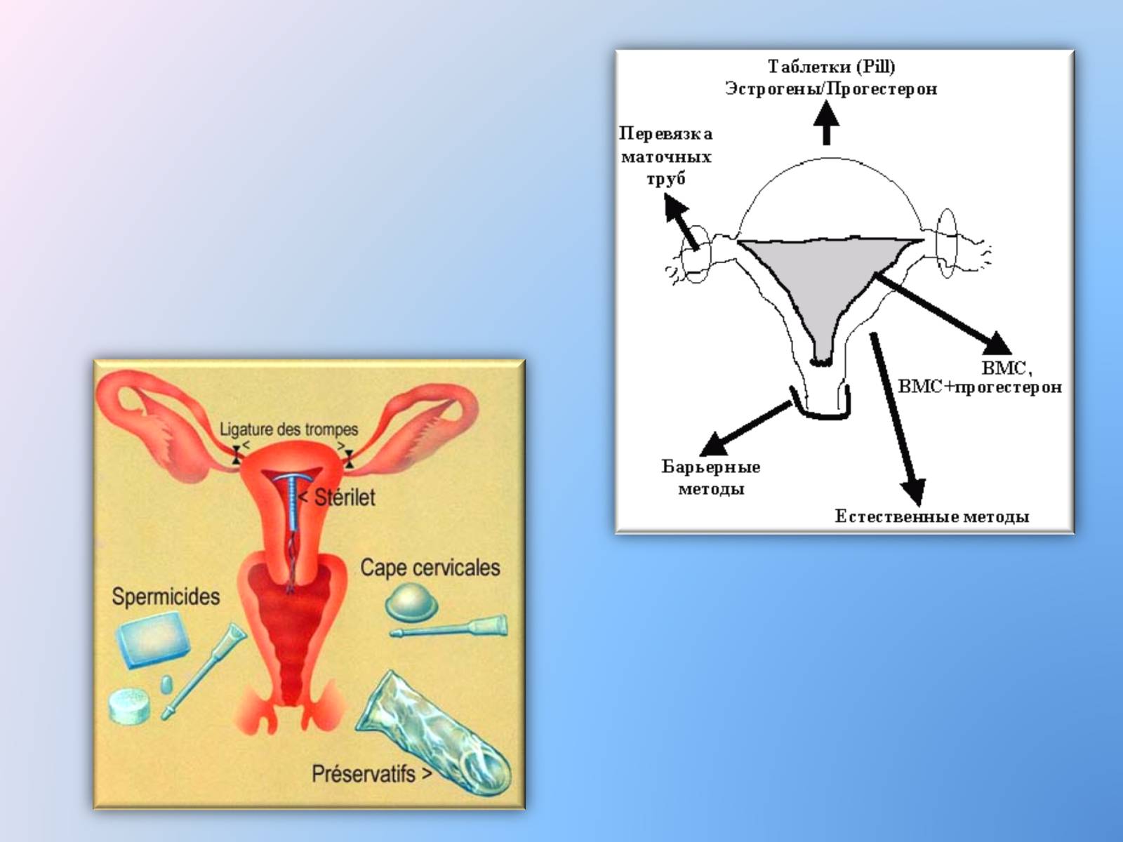 Презентація на тему «Контрацепція» (варіант 3) - Слайд #6