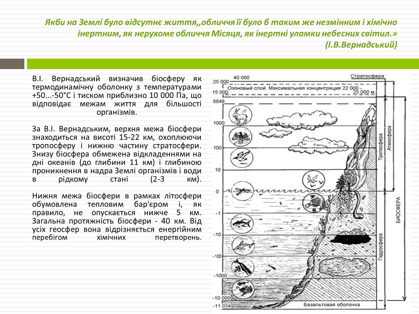 Презентація на тему «Біосфера.Основні положення вчень В.Вернадського про біосферу» - Слайд #11