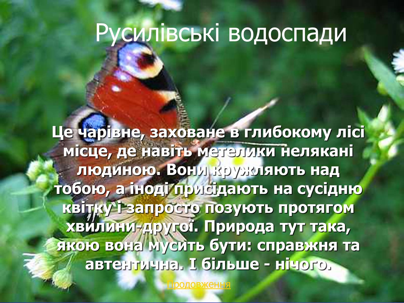 Презентація на тему «Природні дива України» - Слайд #13