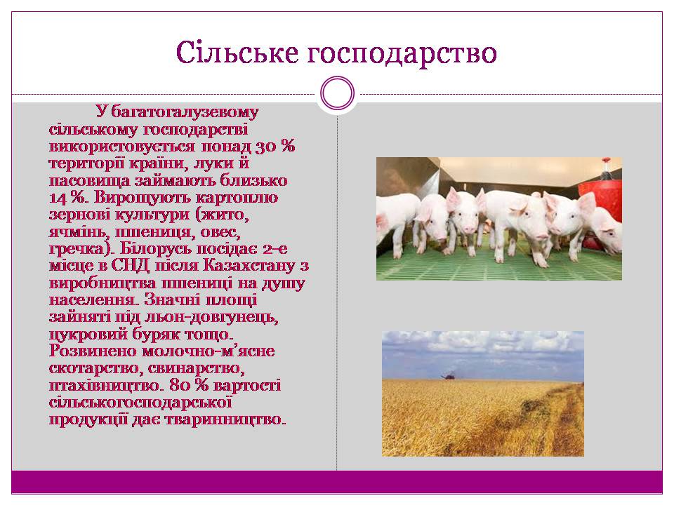 Презентація на тему «Білорусь» (варіант 7) - Слайд #7
