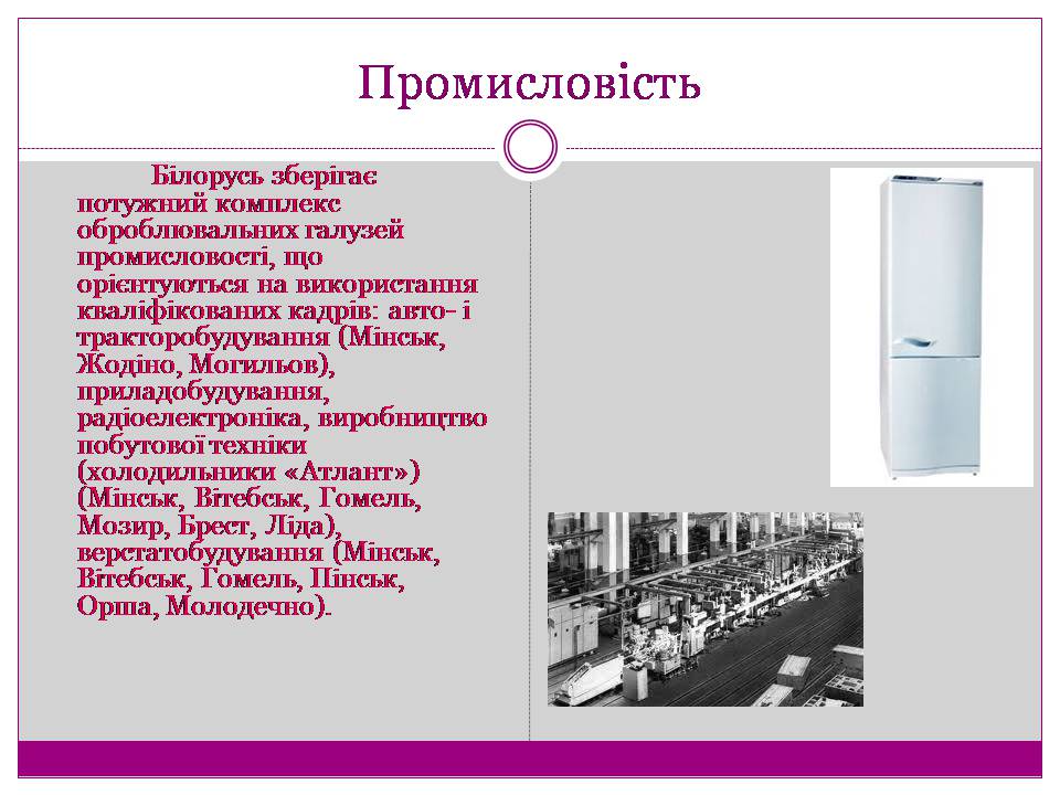 Презентація на тему «Білорусь» (варіант 7) - Слайд #8