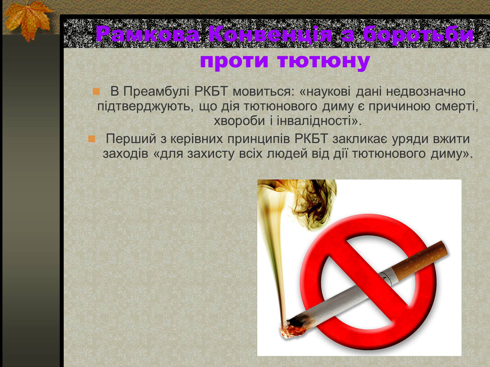 Презентація на тему «Негативний вплив тютюну на довкілля» - Слайд #12
