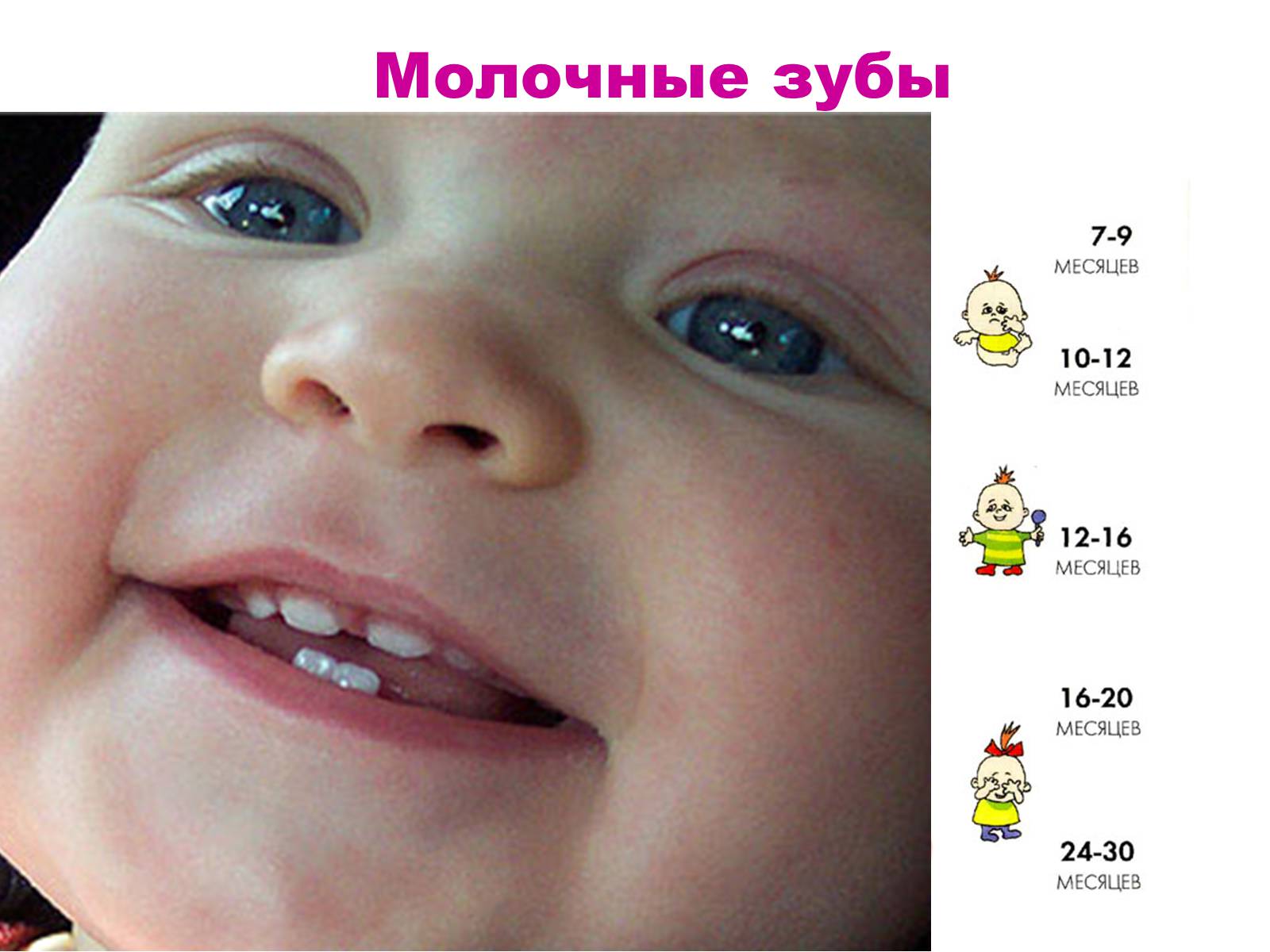Первые молочные зубы у детей