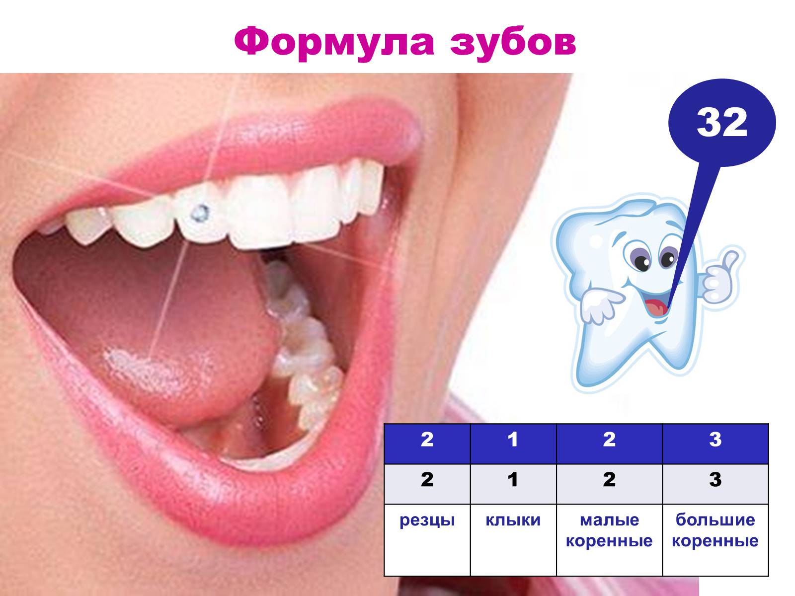 Презентація на тему «Зуби» (варіант 4) - Слайд #8