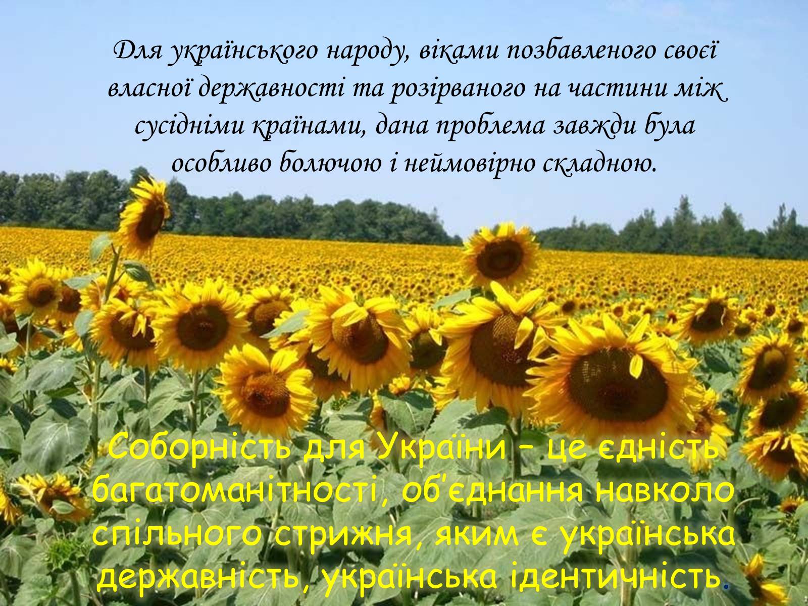 Презентація на тему «День Соборності України» - Слайд #4