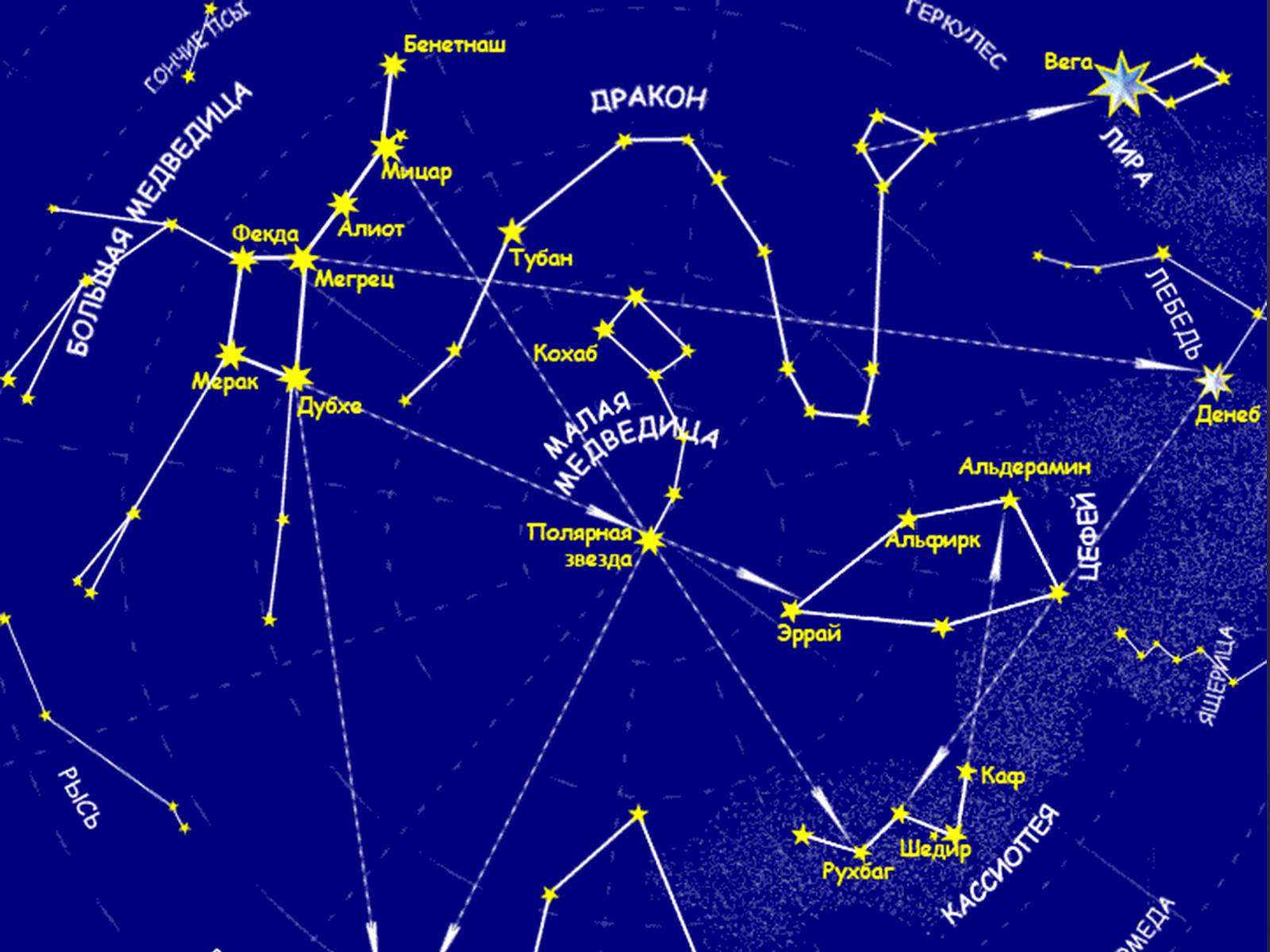Сколько лет созвездию. Звездная карта созвездия. Карта звездного неба с названиями созвездий большая Медведица. Карта звёздного неба Северное полушарие большая Медведица. Околополярные незаходящие созвездия.