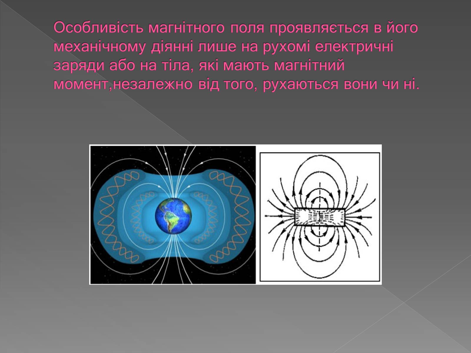 Презентація на тему «Вплив магнітного поля на живі організми» (варіант 3) - Слайд #3
