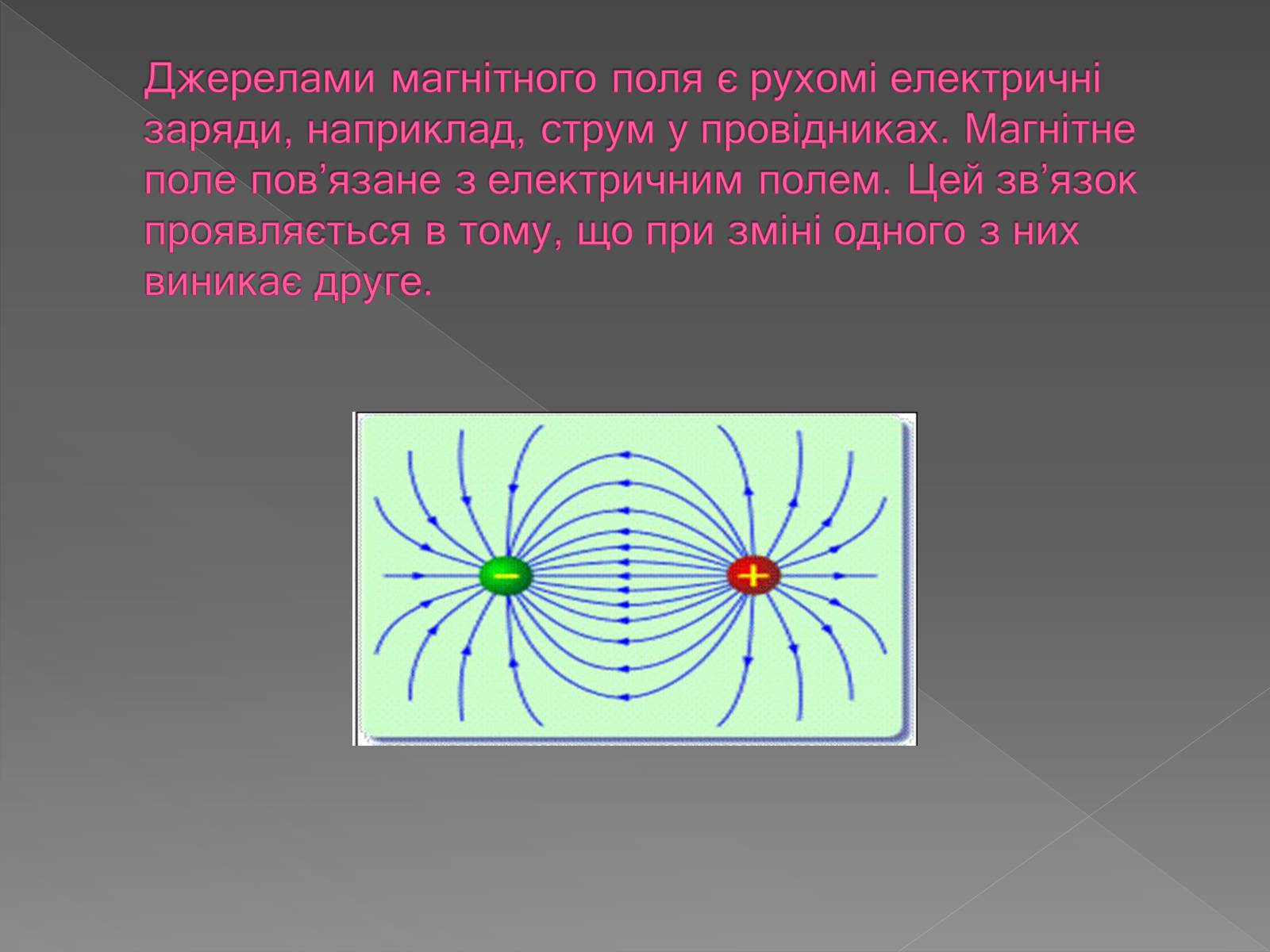 Презентація на тему «Вплив магнітного поля на живі організми» (варіант 3) - Слайд #4