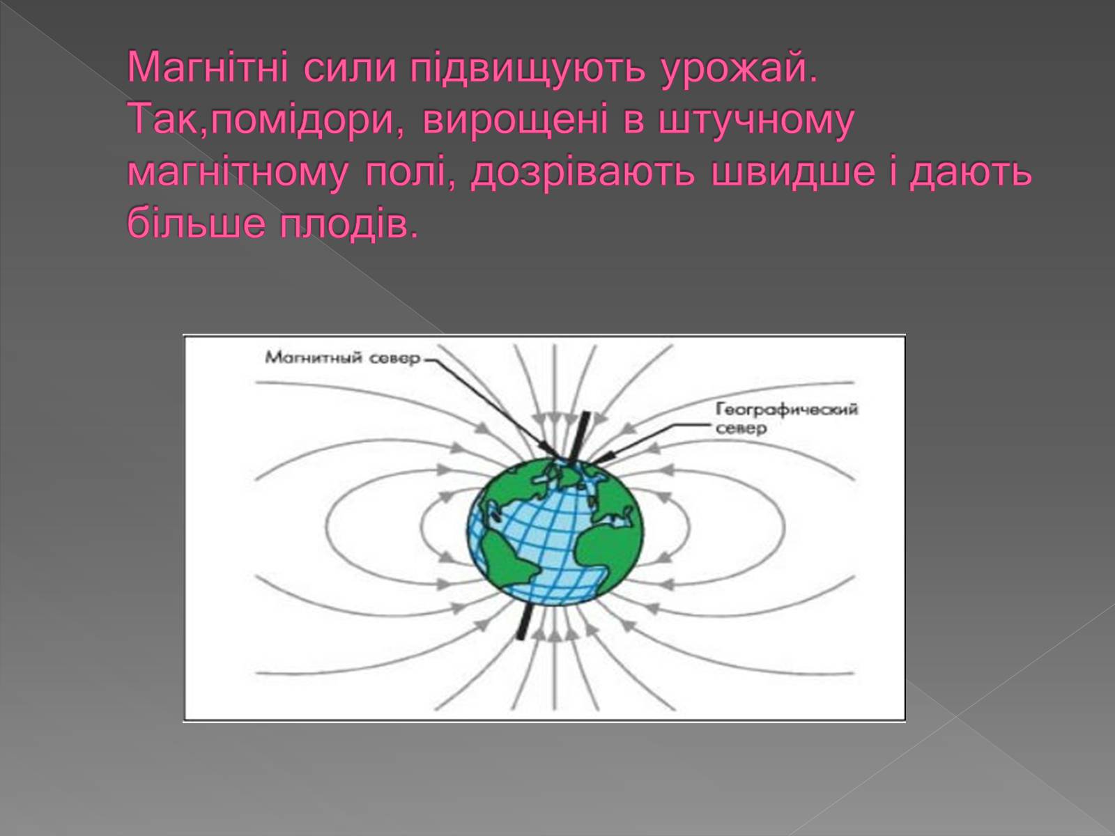 Презентація на тему «Вплив магнітного поля на живі організми» (варіант 3) - Слайд #5