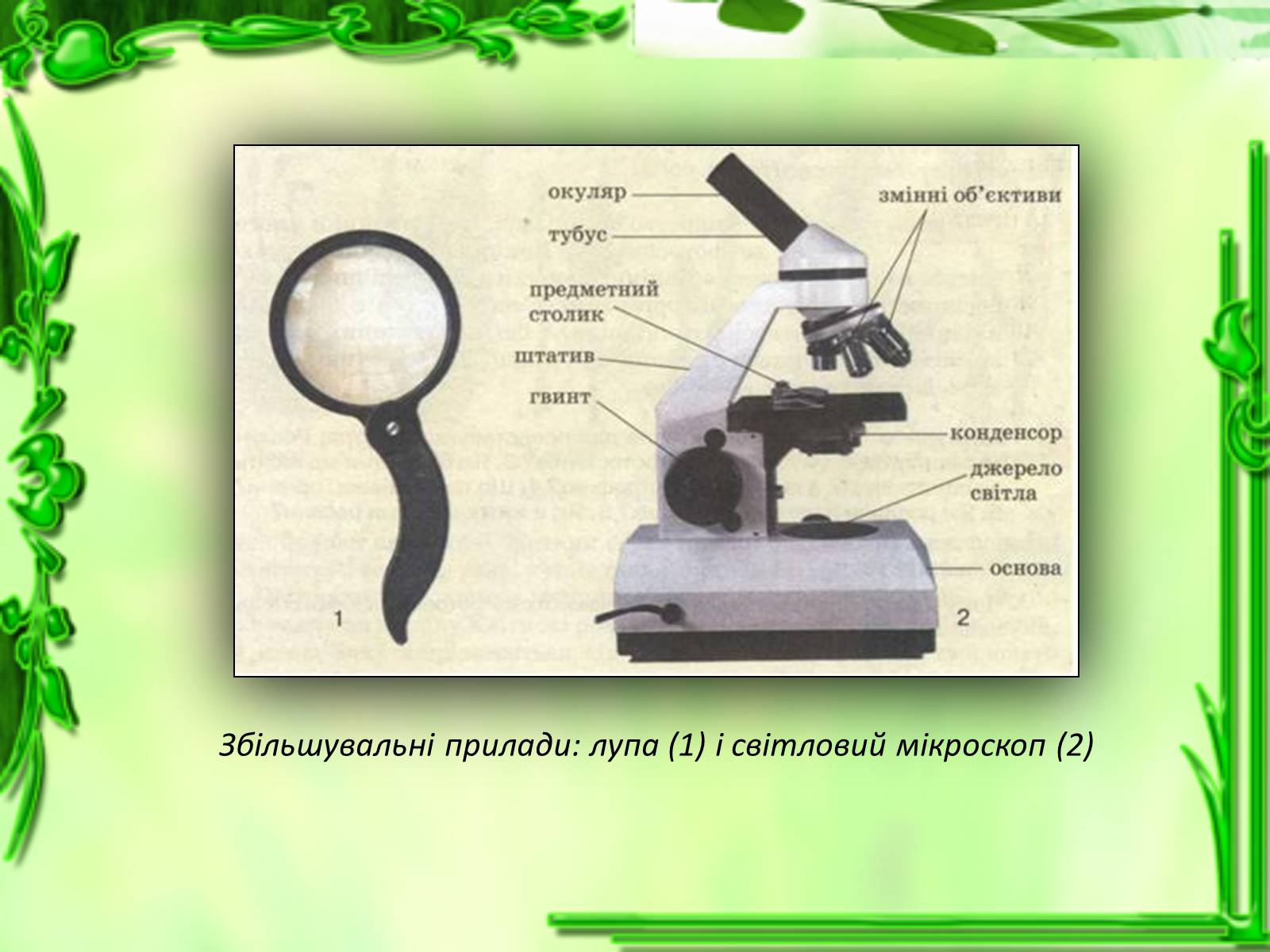 Презентація на тему «Дослідження біологічних об’єктів» - Слайд #10