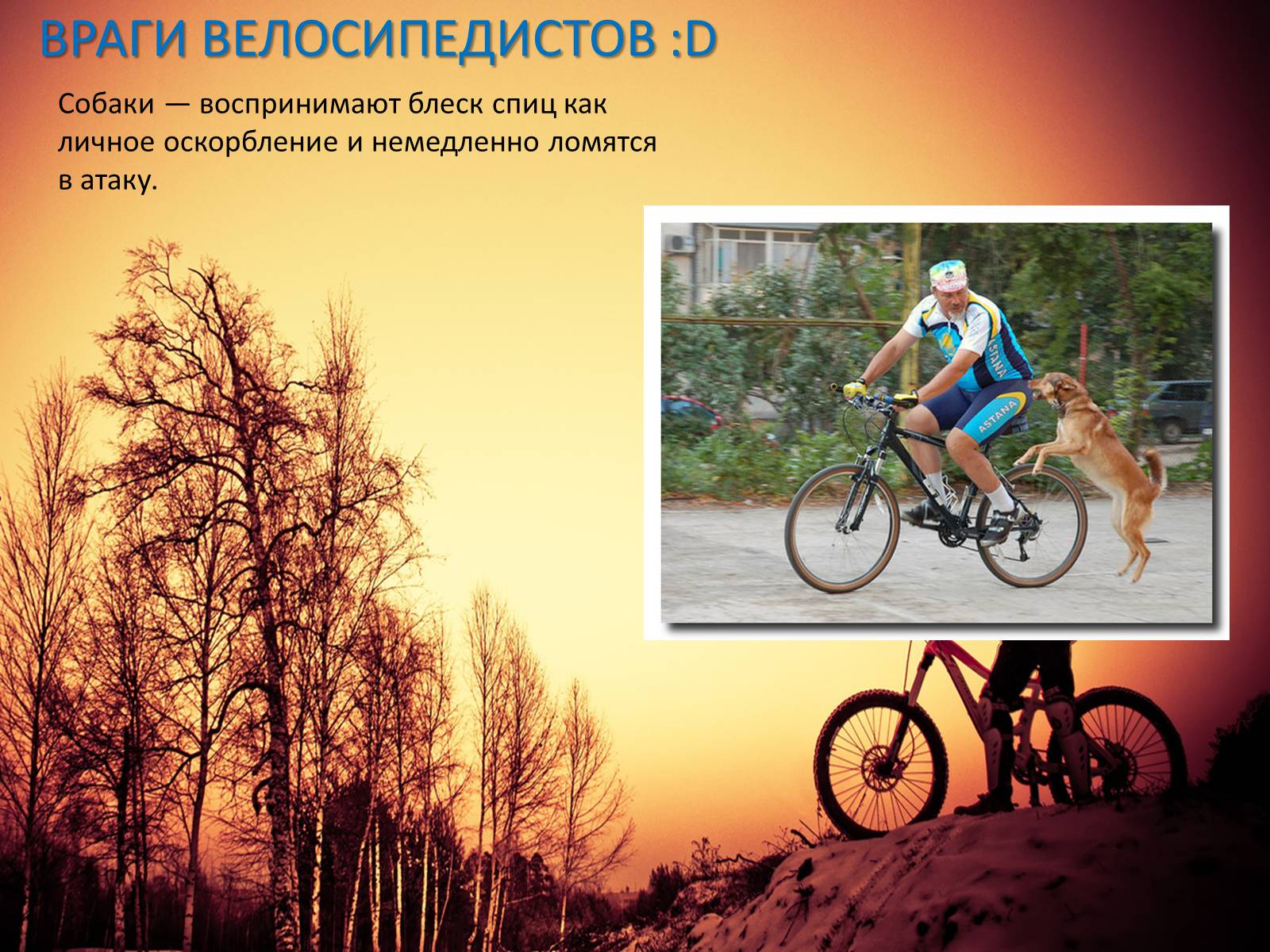 Презентація на тему «Велосипед. Виды. Стили езды» - Слайд #19