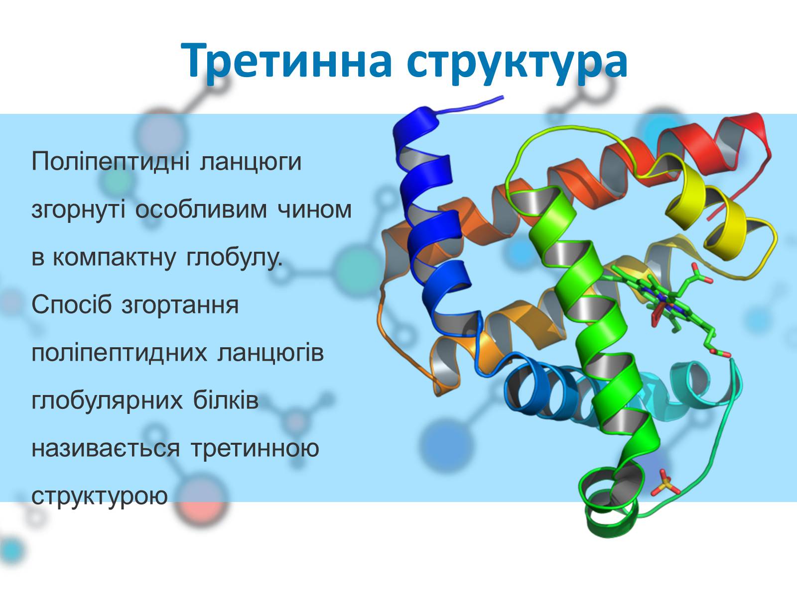 Третичная структура полипептидной цепи