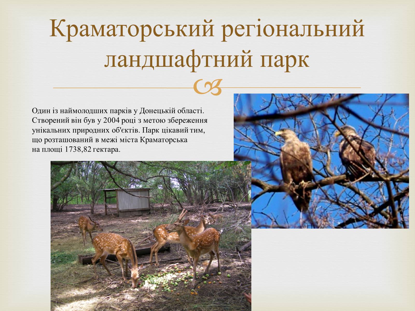 Презентація на тему «Ландшафтні парки України» (варіант 2) - Слайд #8