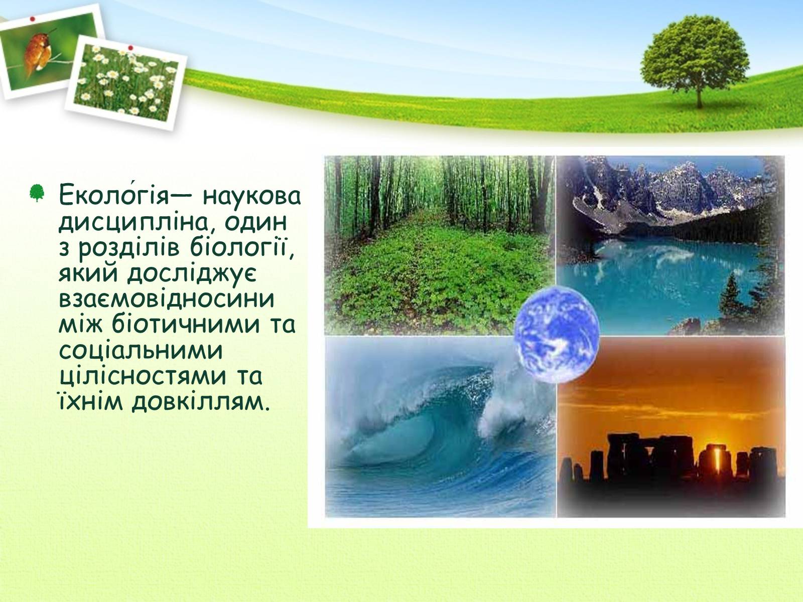 Презентація на тему «Екологія як наука про довкілля» (варіант 2) - Слайд #2