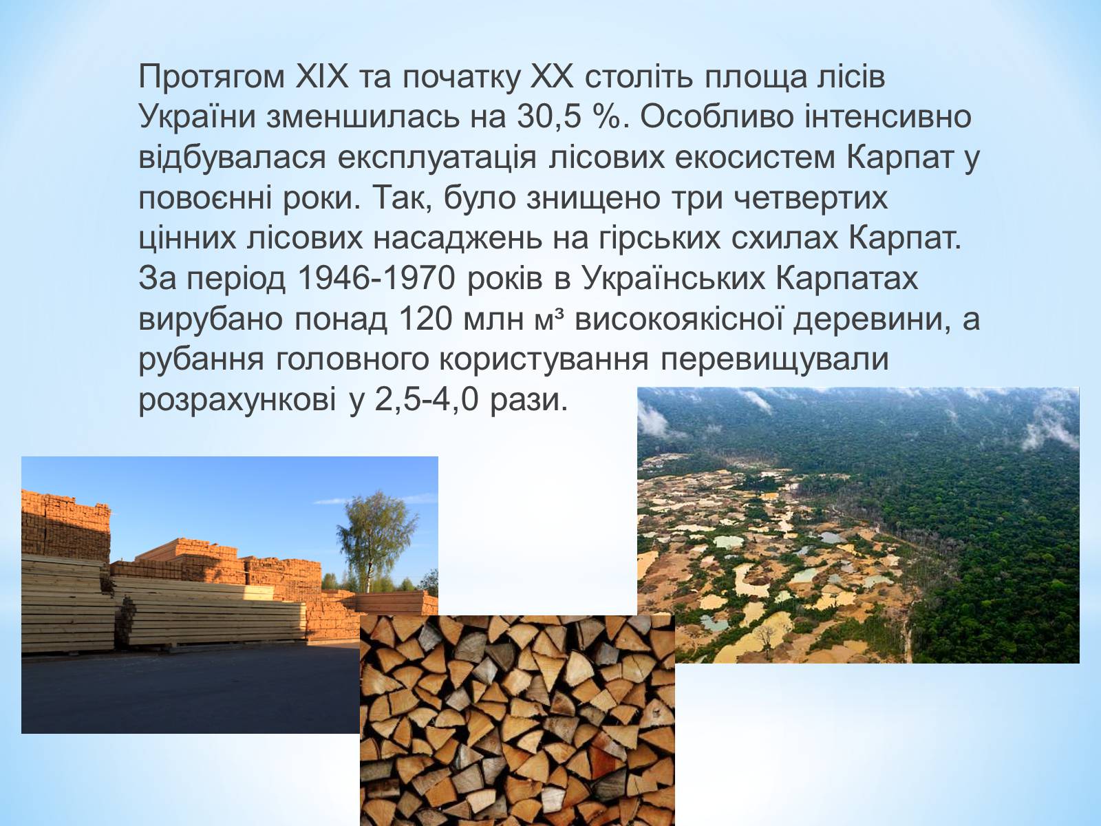 Презентація на тему «Знищення лісів на Україні» - Слайд #5