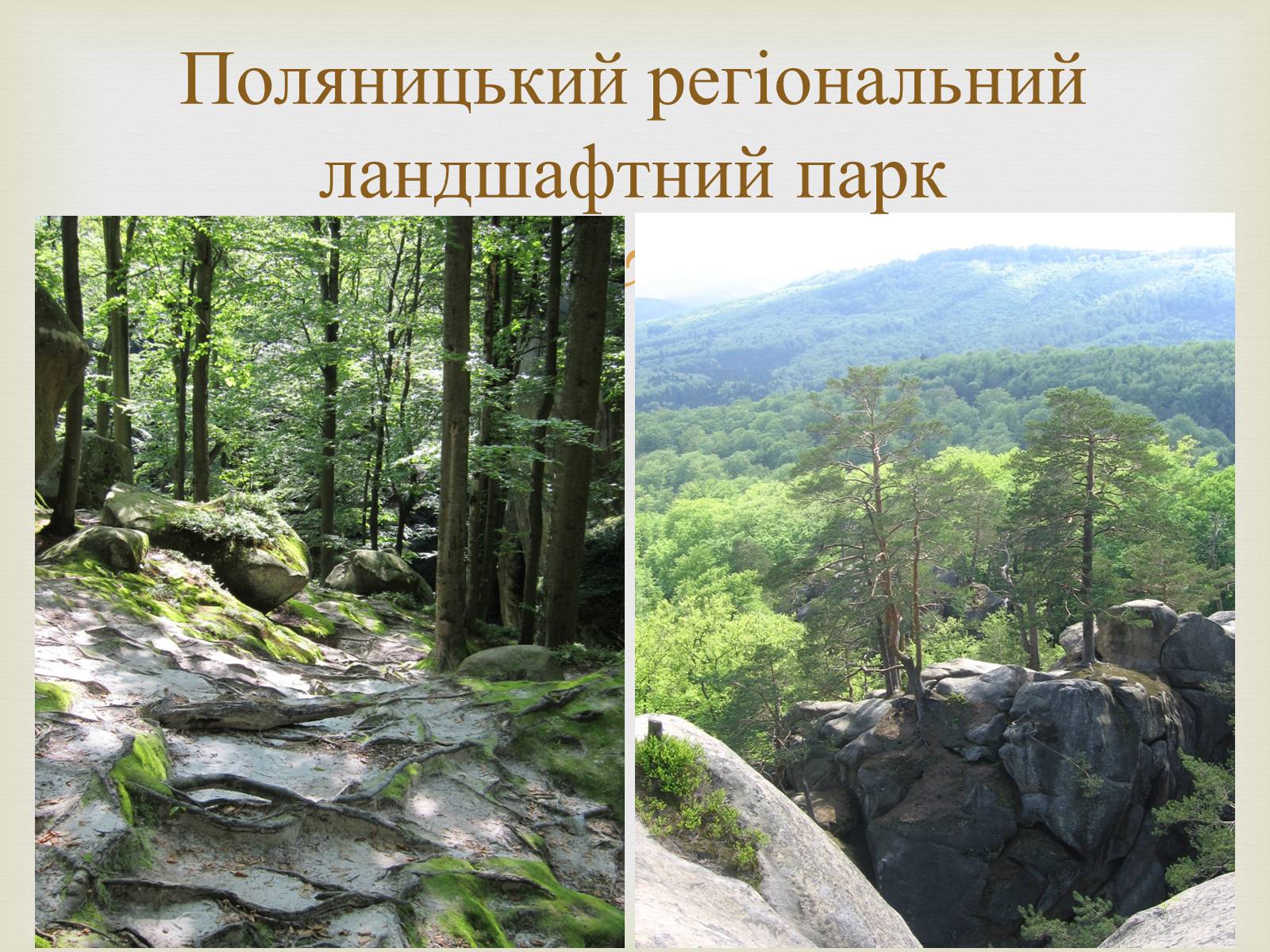 Презентація на тему «Ландшафтні парки України» (варіант 2) - Слайд #12