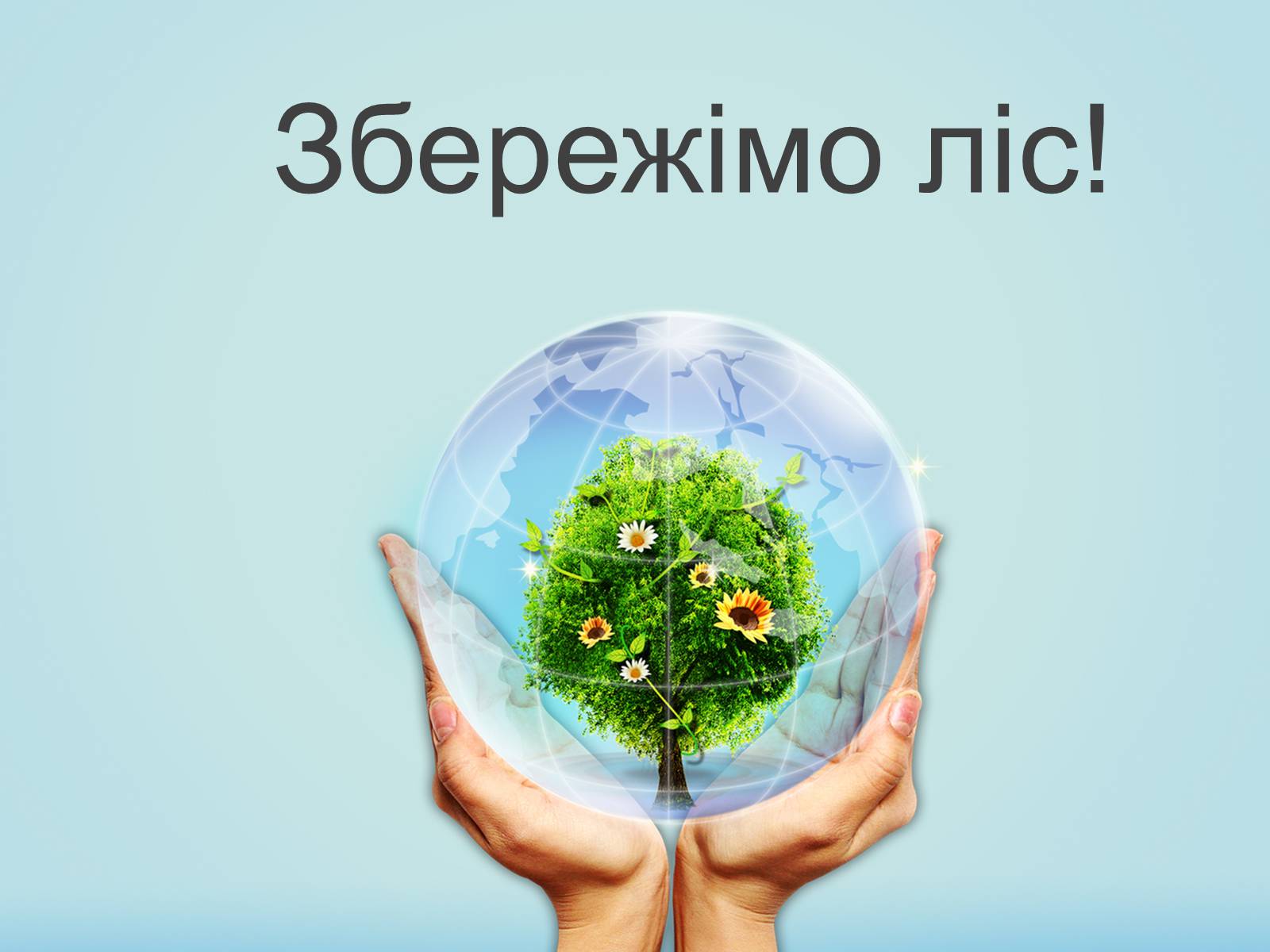 Презентація на тему «Знищення лісів на Україні» - Слайд #10