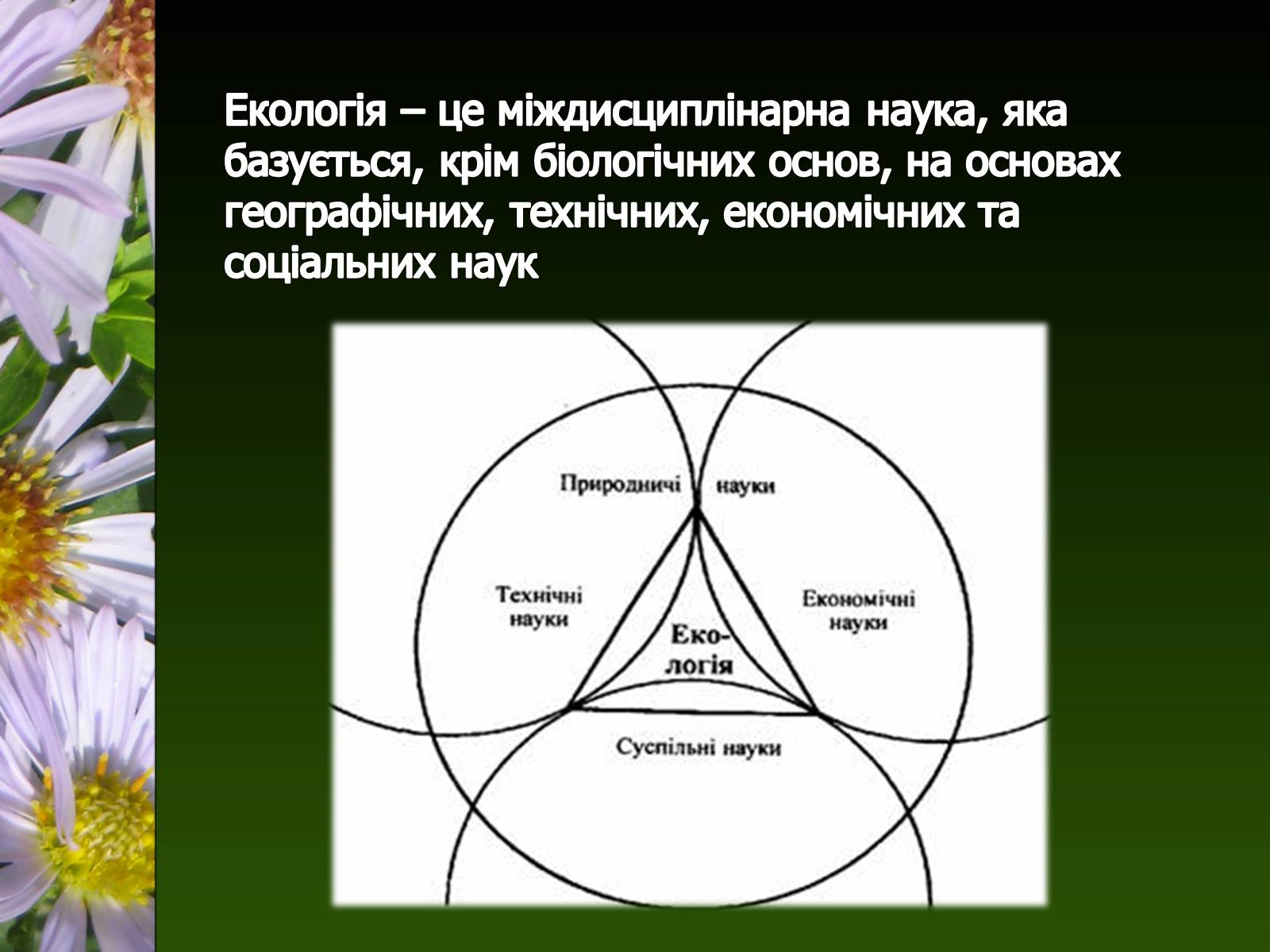 Презентація на тему «Екологія як наука про довкілля» (варіант 2) - Слайд #20