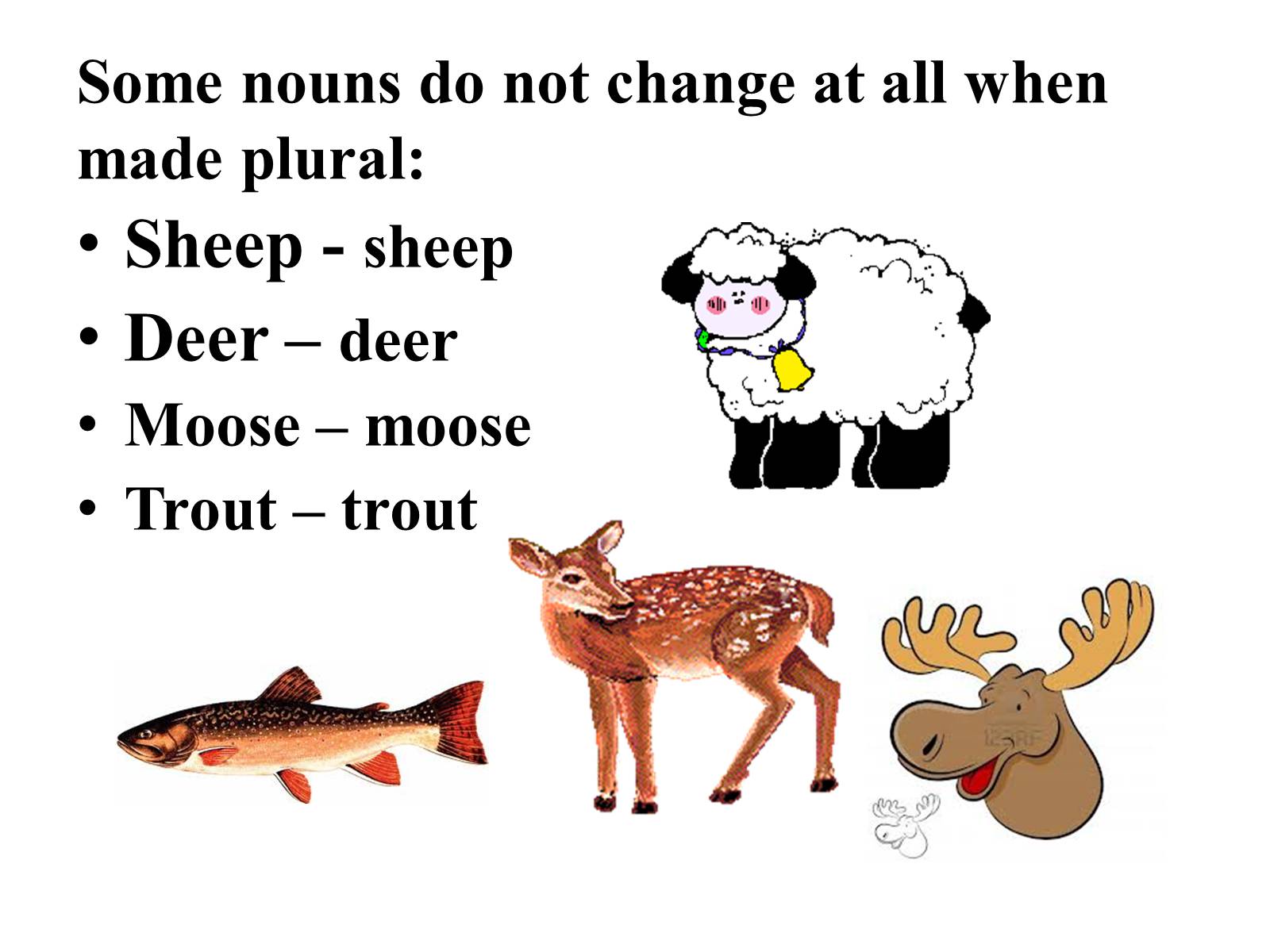 Презентація на тему «Nouns in English» - Слайд #13