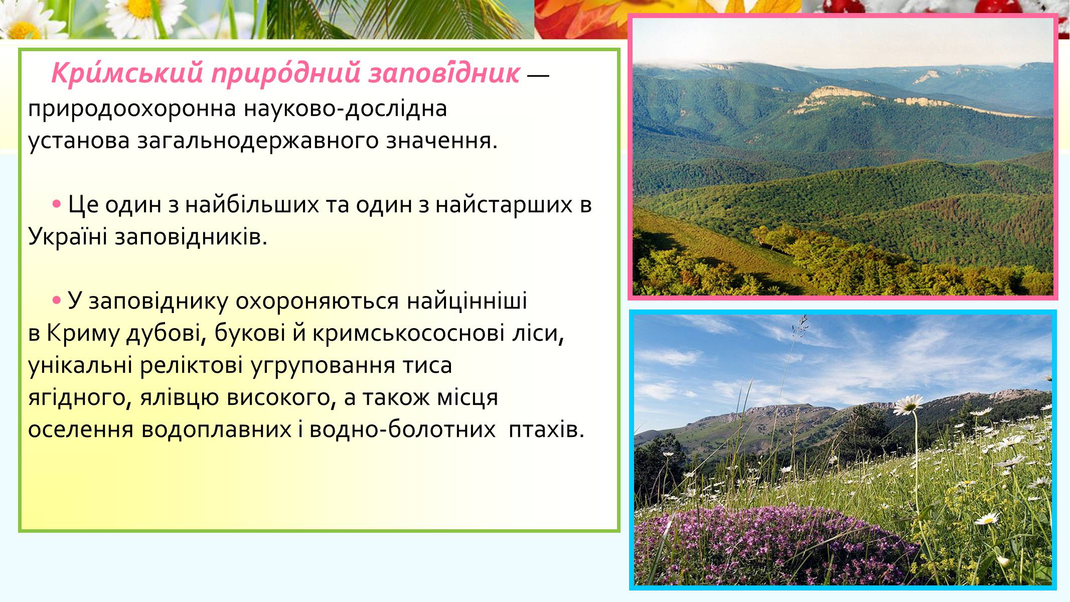Презентація на тему «Кримський природний заповідник» - Слайд #2