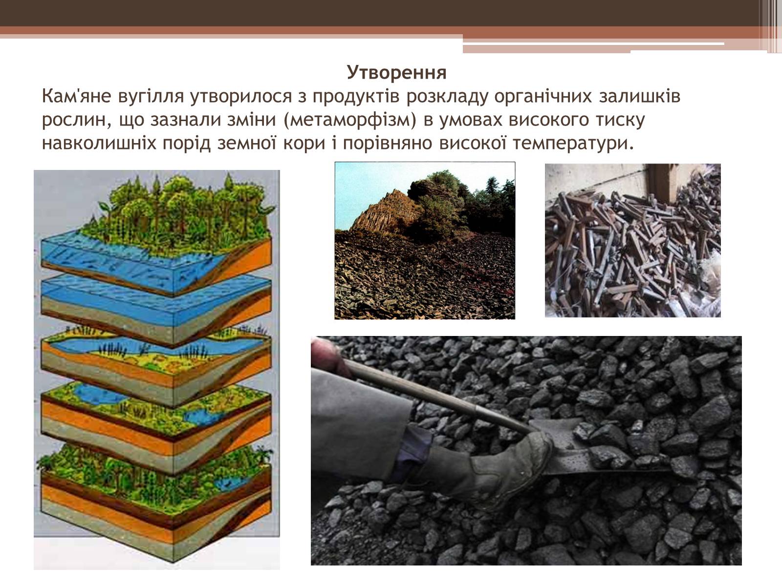 Презентація на тему «Кам*яне вугілля» (варіант 2) - Слайд #4