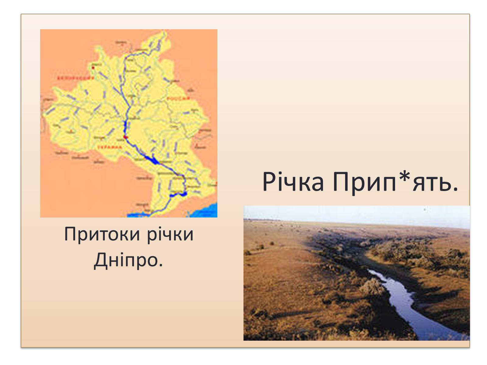 Презентація на тему «Зона Мішаних лісів України» - Слайд #10