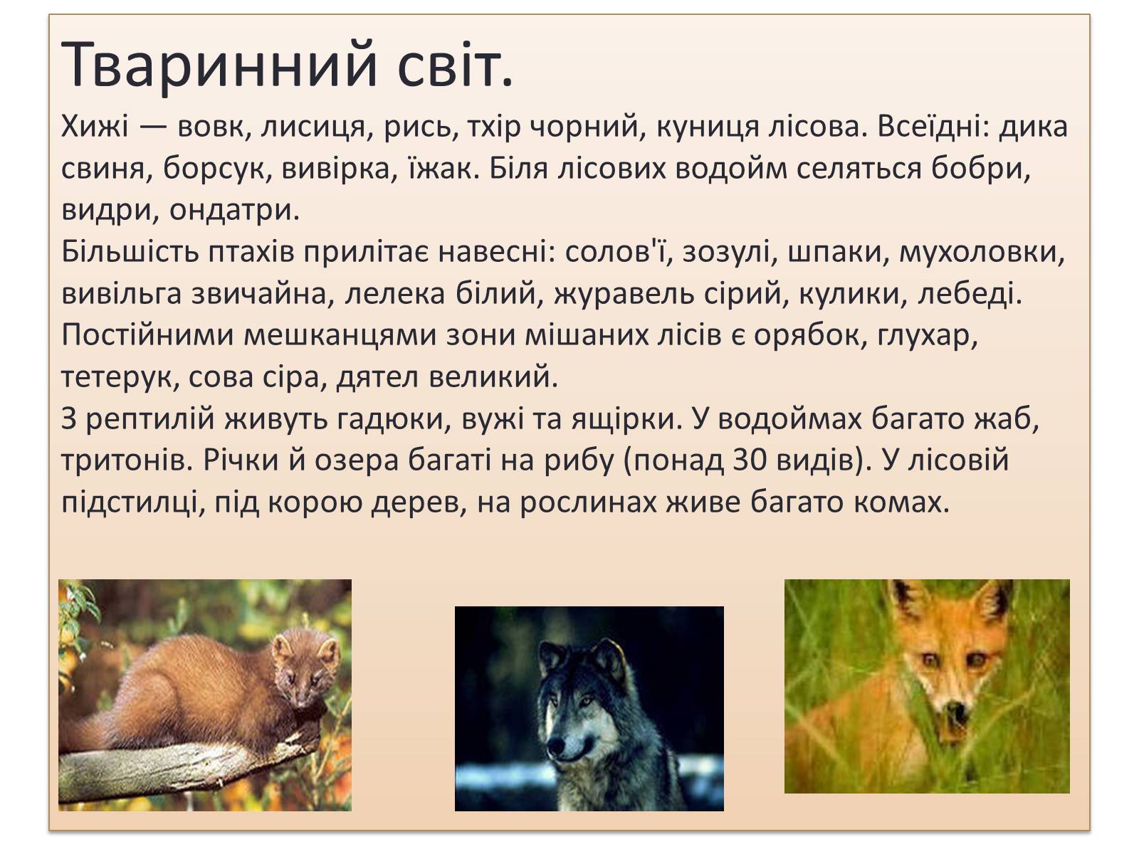 Презентація на тему «Зона Мішаних лісів України» - Слайд #15