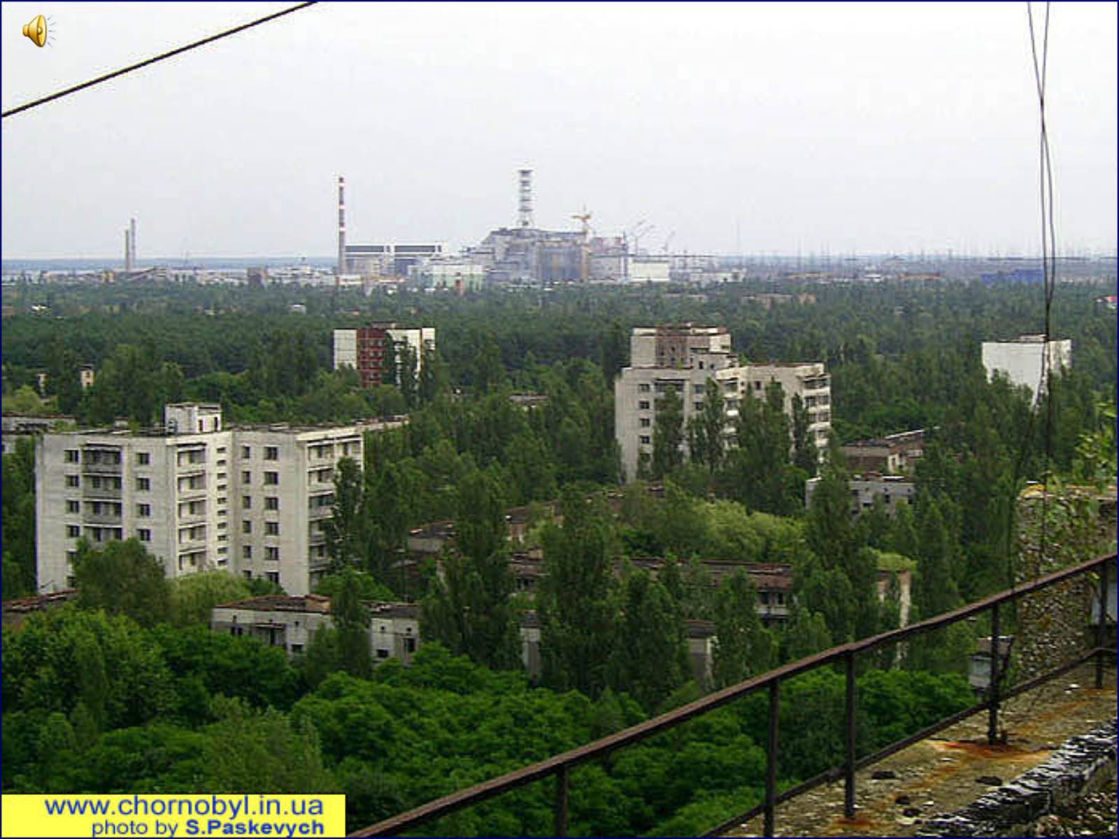 Презентація на тему «Чорнобиль» (варіант 7) - Слайд #13