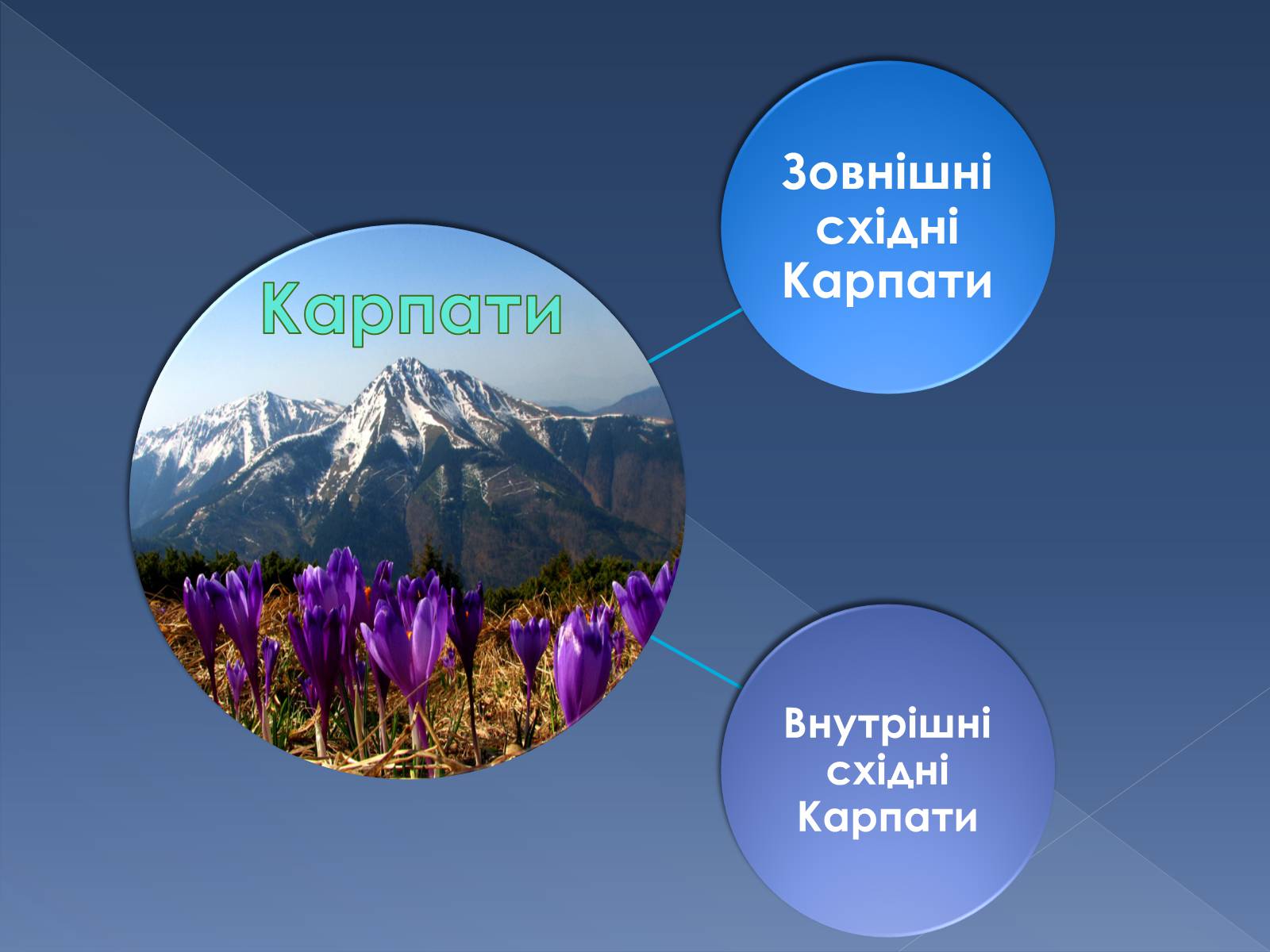 Презентація на тему «Українські Карпати» (варіант 9) - Слайд #2