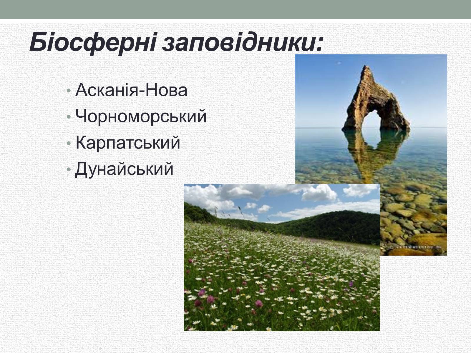 Презентація на тему «Заповідна мережа України» (варіант 5) - Слайд #6