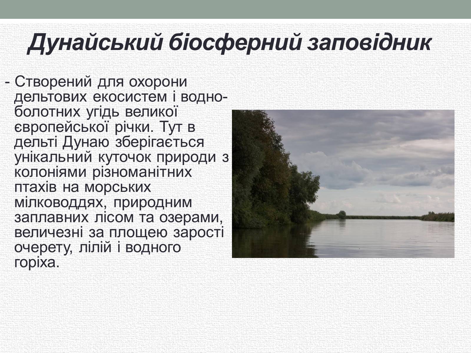 Презентація на тему «Заповідна мережа України» (варіант 5) - Слайд #11