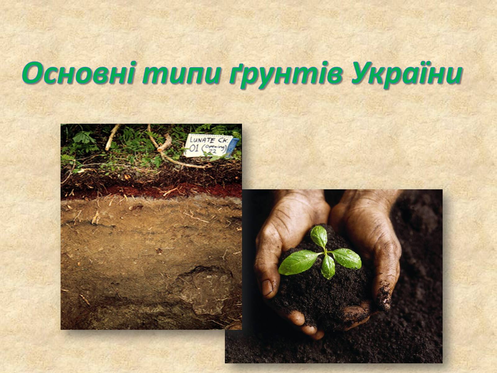 Презентація на тему «Основні типи ґрунтів України» - Слайд #1