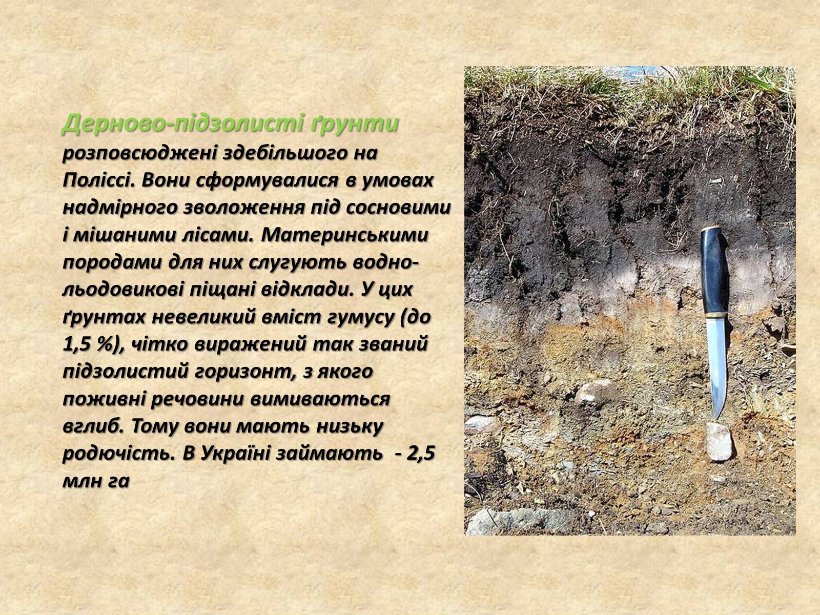 Презентація на тему «Основні типи ґрунтів України» - Слайд #4