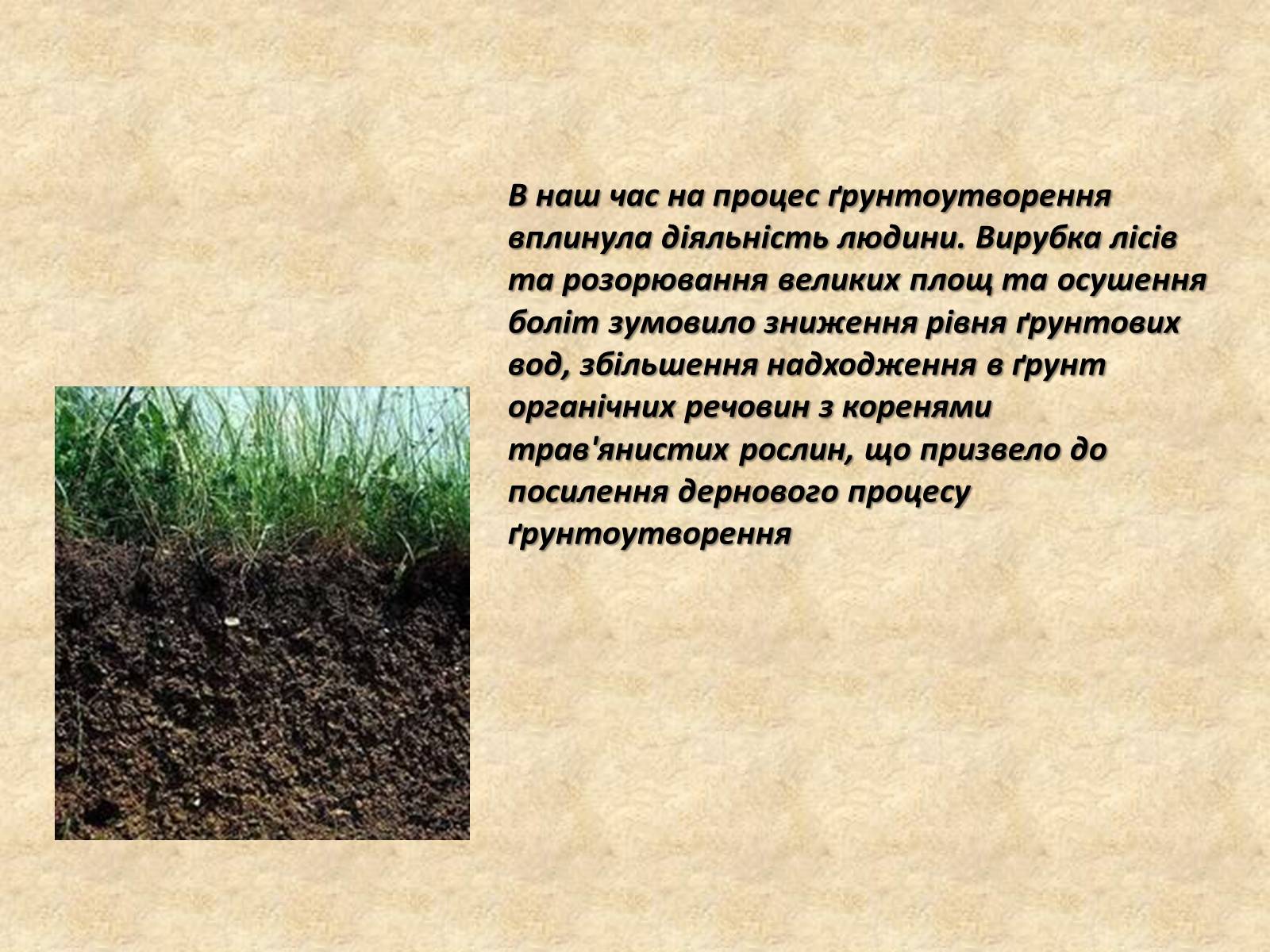 Презентація на тему «Основні типи ґрунтів України» - Слайд #5