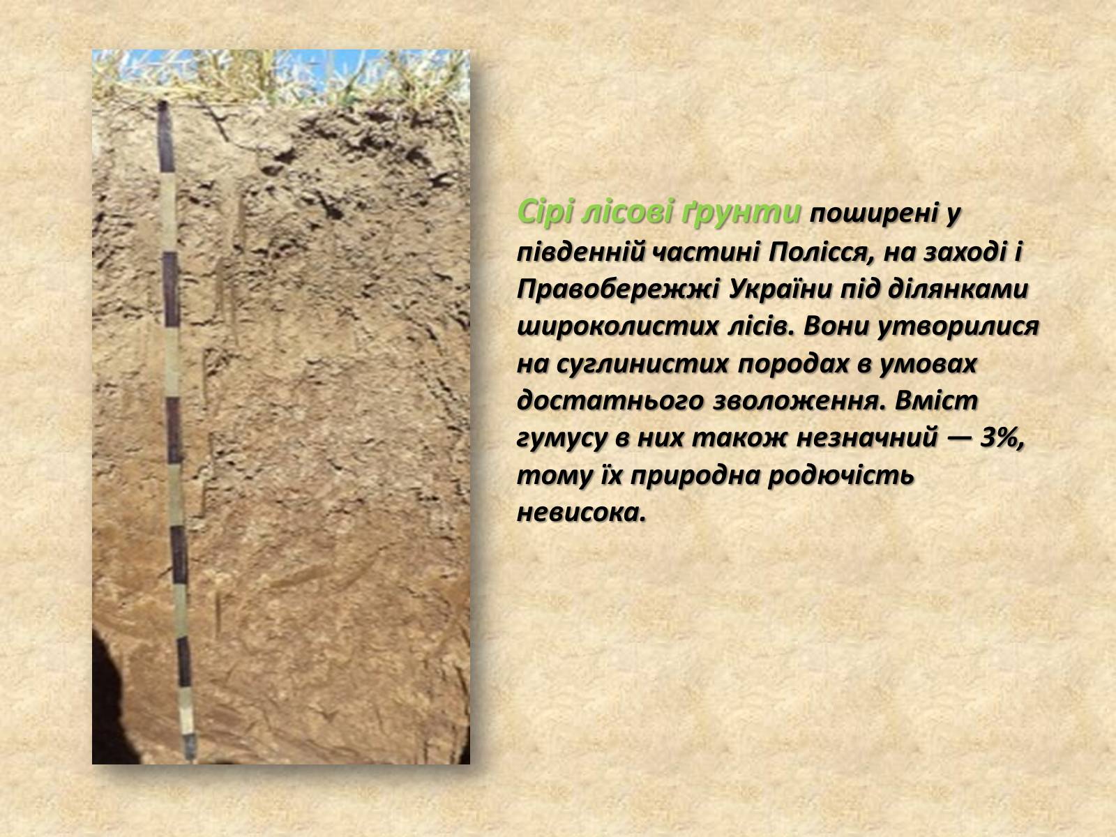 Презентація на тему «Основні типи ґрунтів України» - Слайд #6