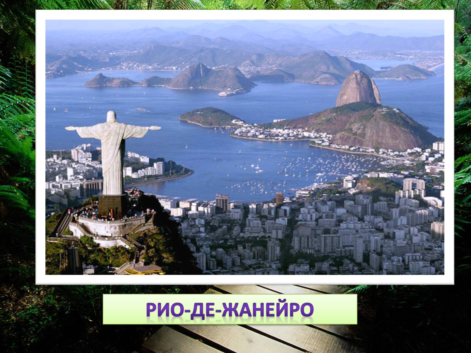 Презентація на тему «Сонячна Бразилія» - Слайд #12