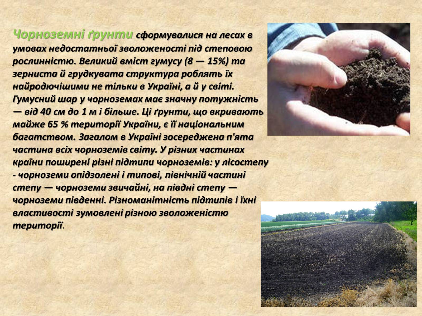 Презентація на тему «Основні типи ґрунтів України» - Слайд #7