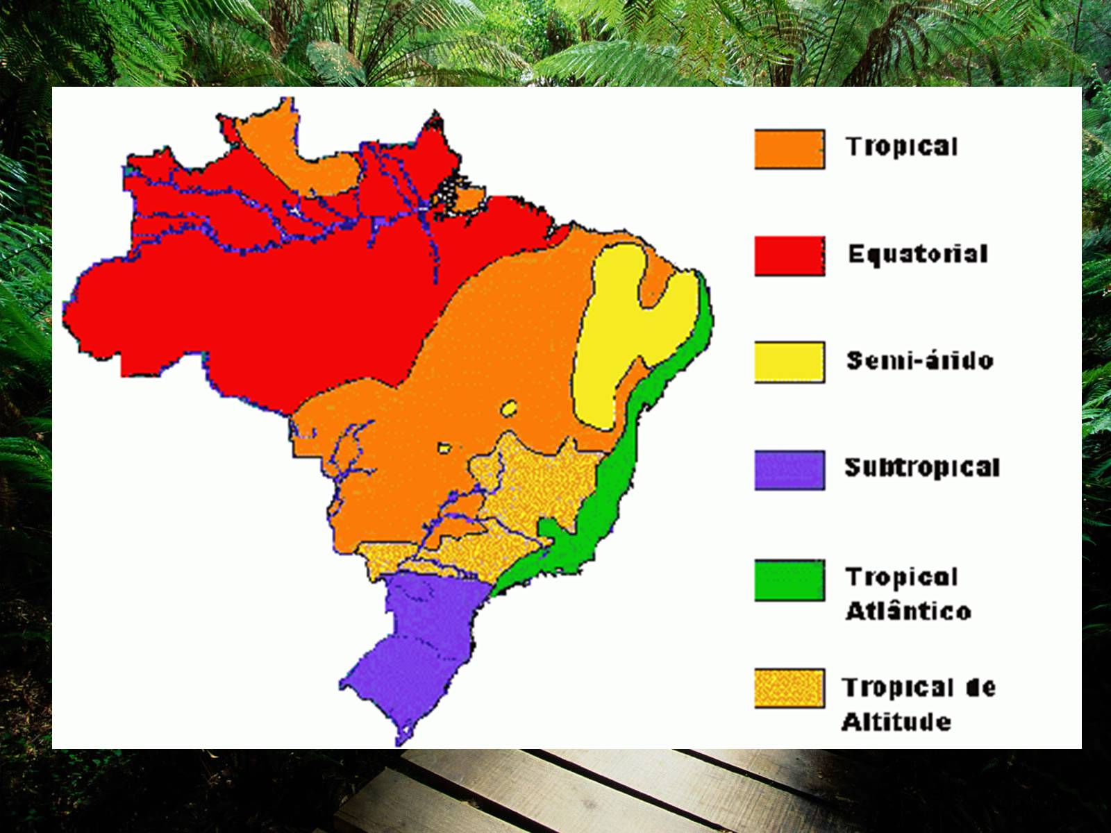 Презентація на тему «Сонячна Бразилія» - Слайд #13