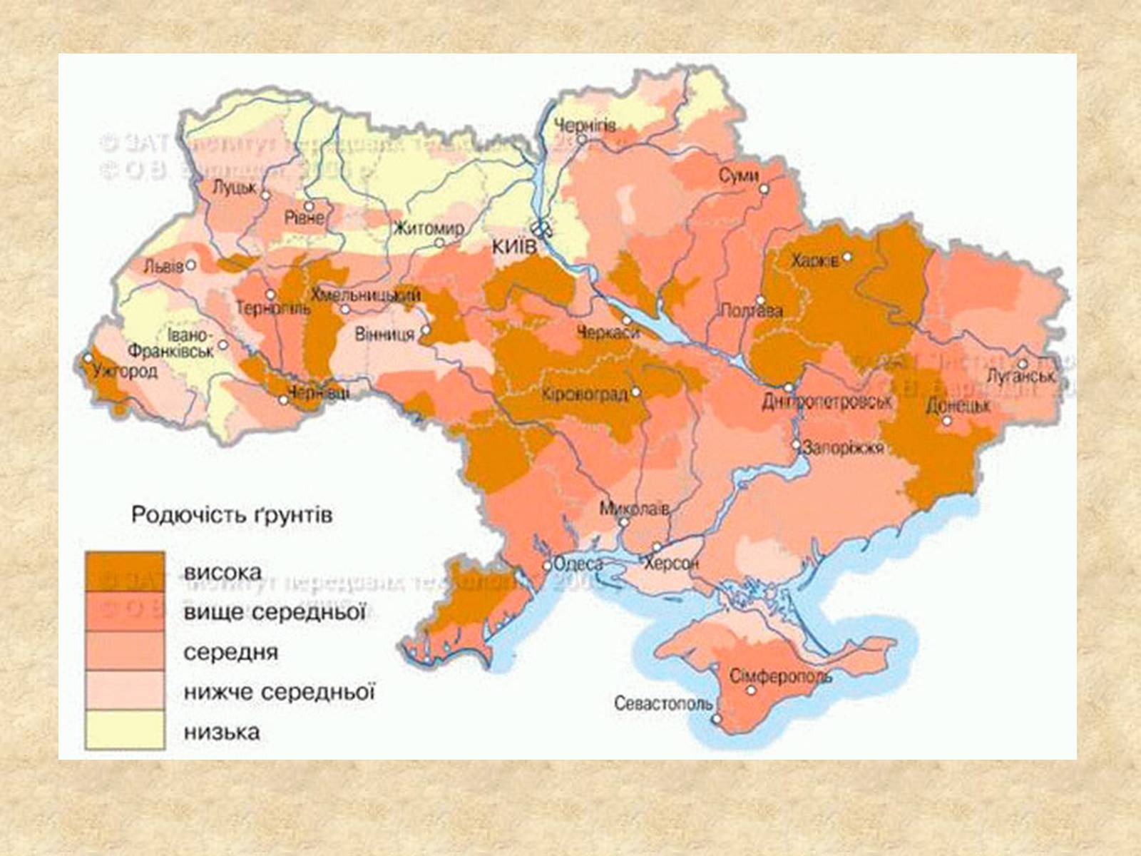 Презентація на тему «Основні типи ґрунтів України» - Слайд #12