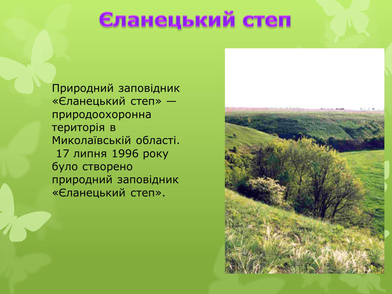 Презентація на тему «Природні заповідники України» (варіант 4) - Слайд #7