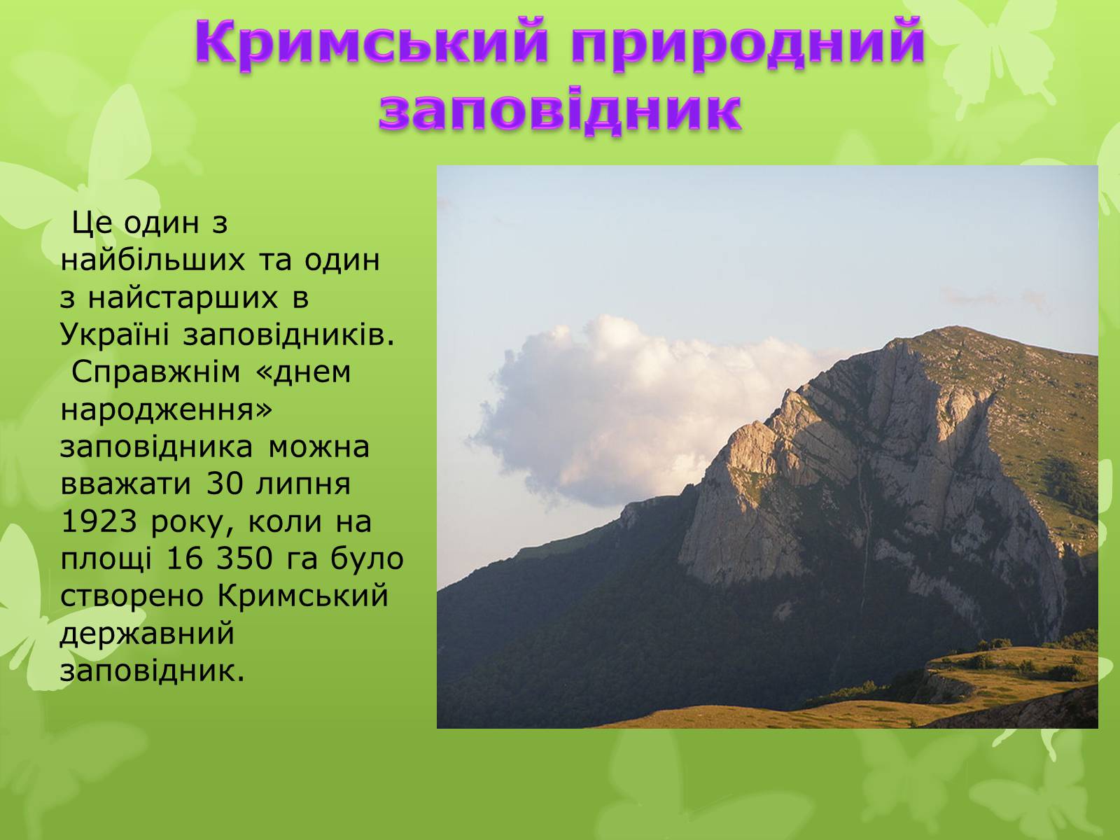 Презентація на тему «Природні заповідники України» (варіант 4) - Слайд #11